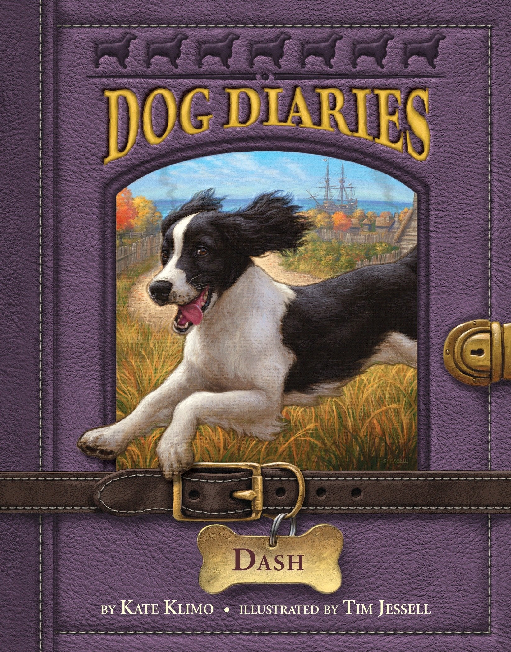 Dog Diaries #5: Dash (Dog Diaries) (Book:5)