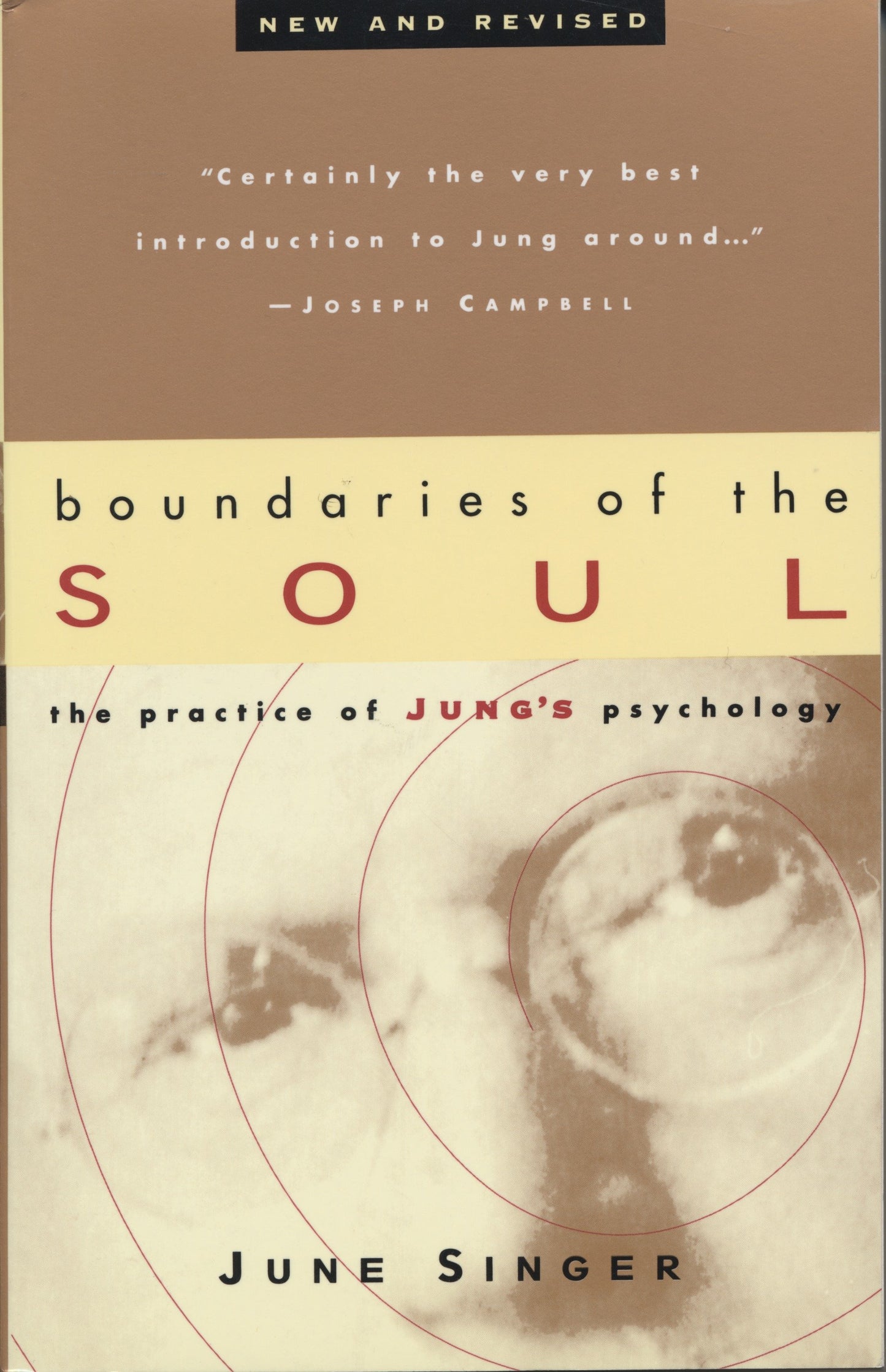 Boundaries of the Soul - The Practice of Jung's Psychology