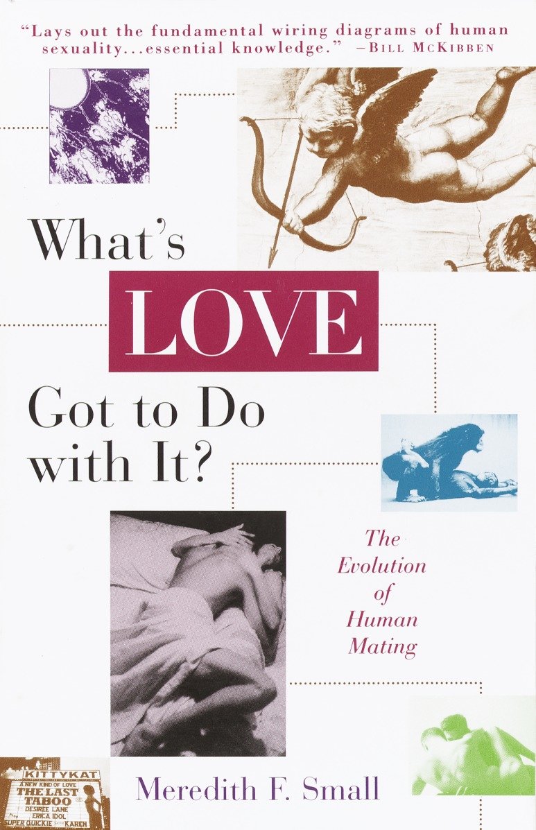 What's Love Got to Do with It? - The Evolution of Human Mating
