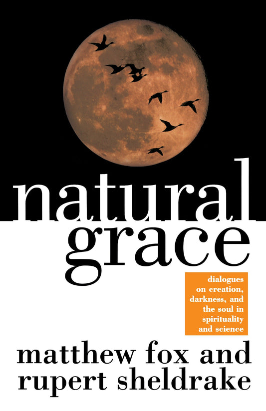 Natural Grace - Dialogues on creation, darkness, and the soul in spirituality and science