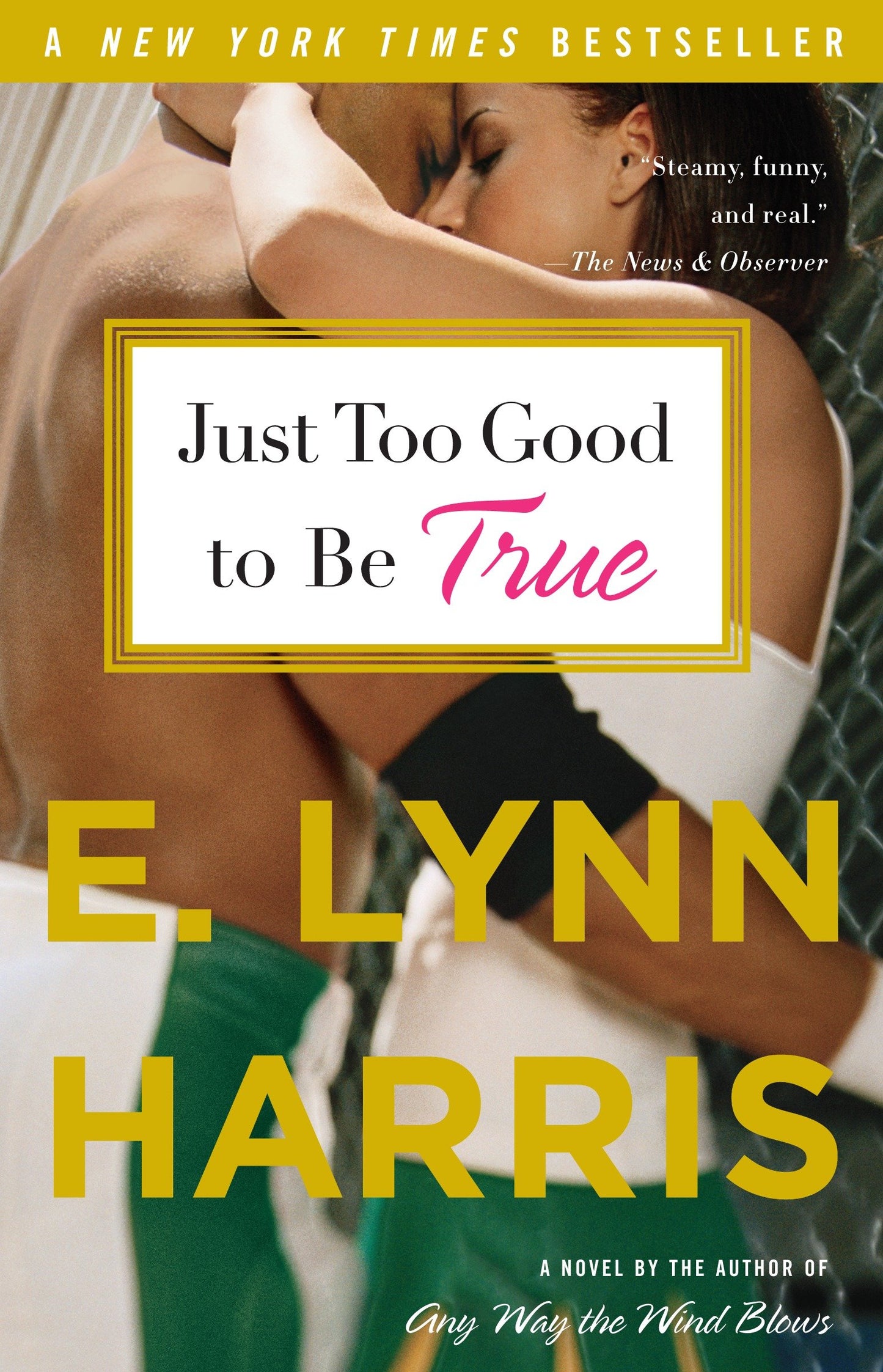 Just Too Good to Be True - A Novel