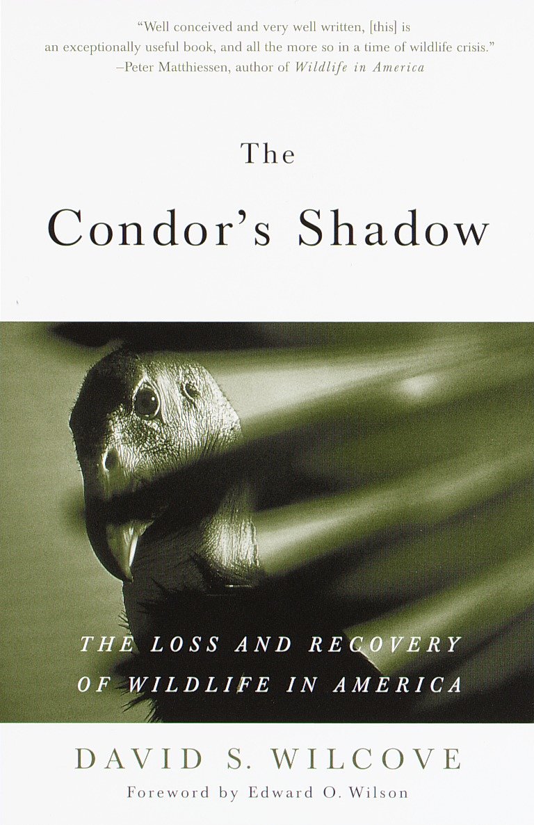 The Condor's Shadow - The Loss and Recovery of Wildlife in America