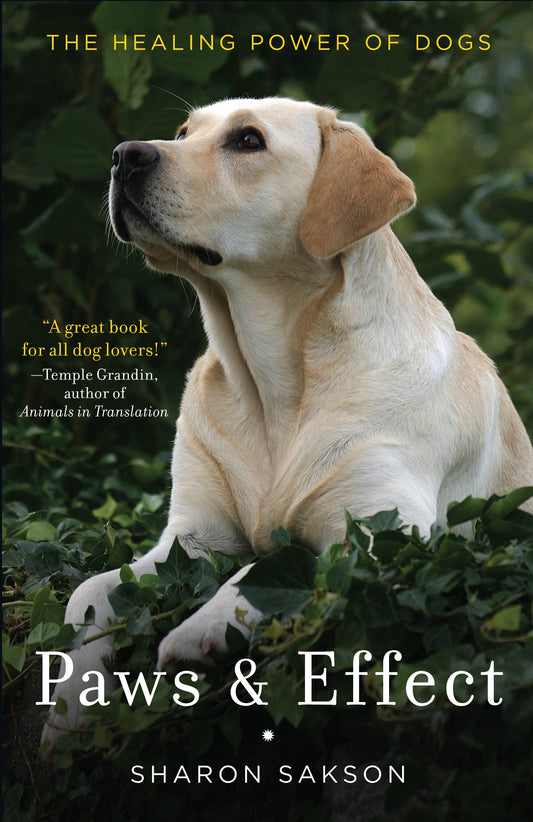 Paws & Effect - The Healing Power of Dogs