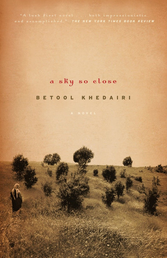 A Sky So Close - A Novel