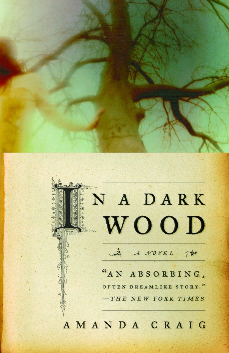 In a Dark Wood - A Novel