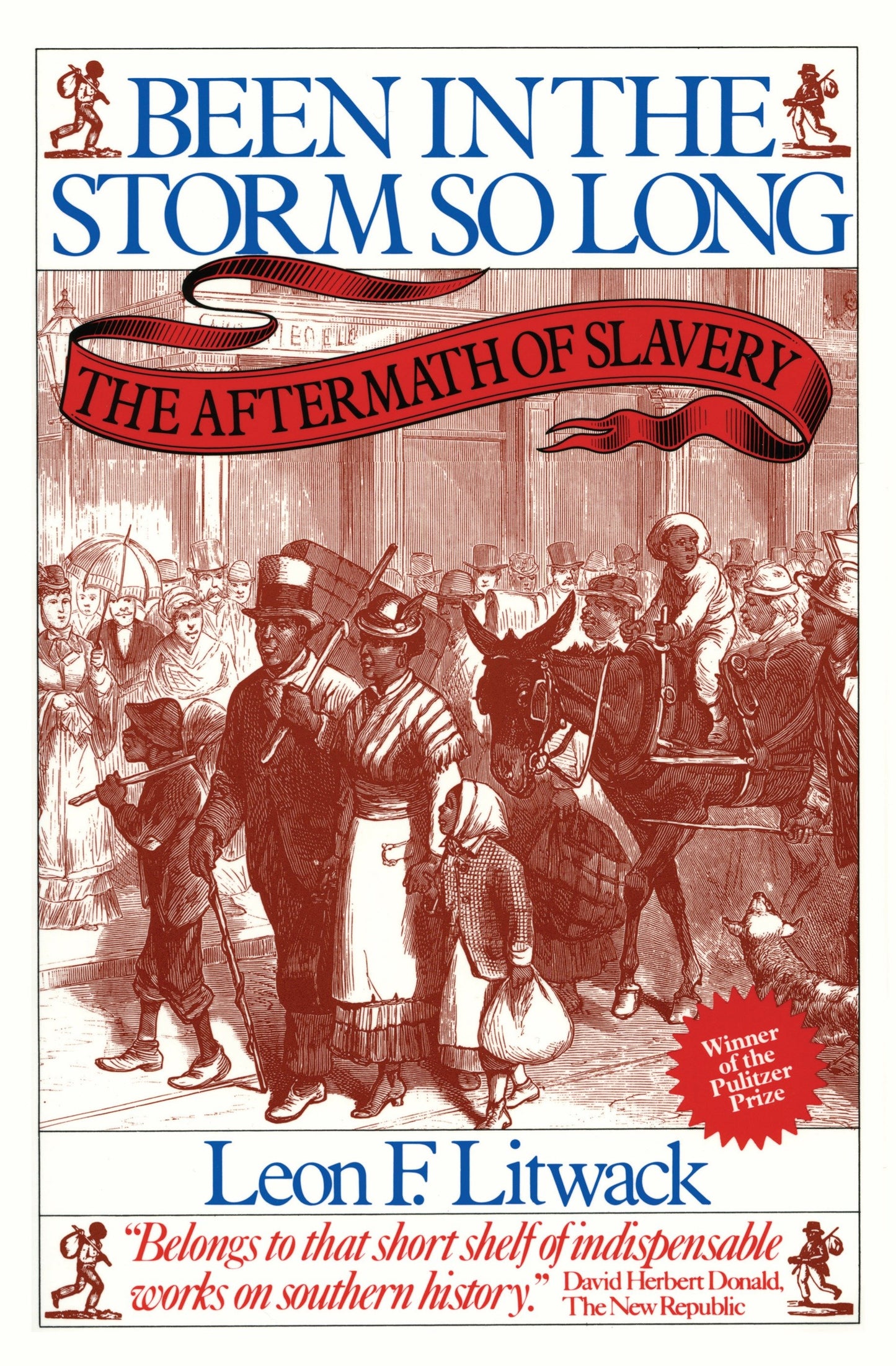 Been in the Storm So Long - The Aftermath of Slavery
