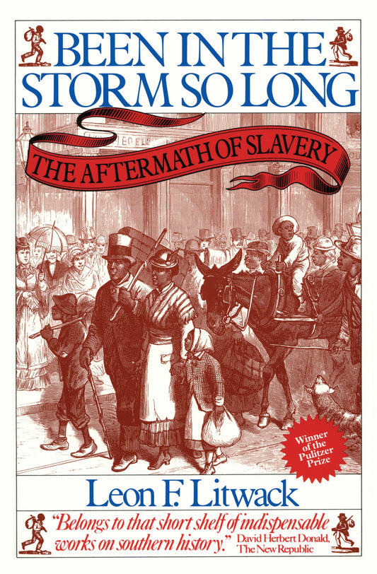 Been in the Storm So Long - The Aftermath of Slavery