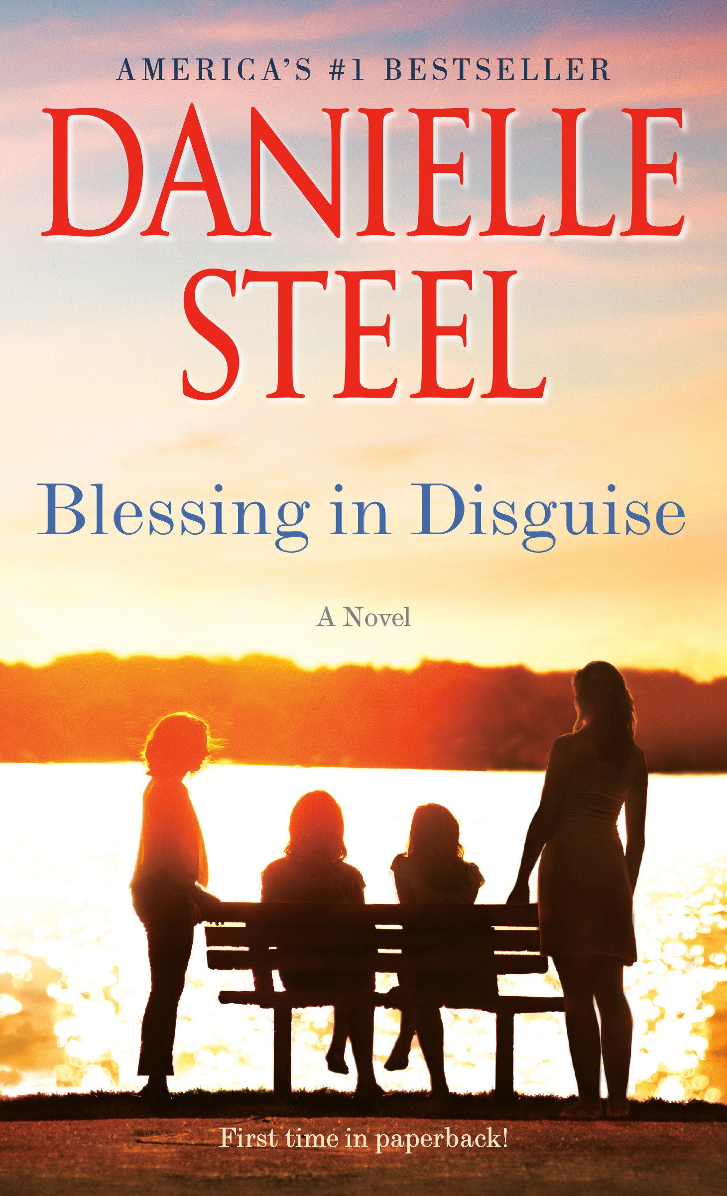 Blessing in Disguise - A Novel