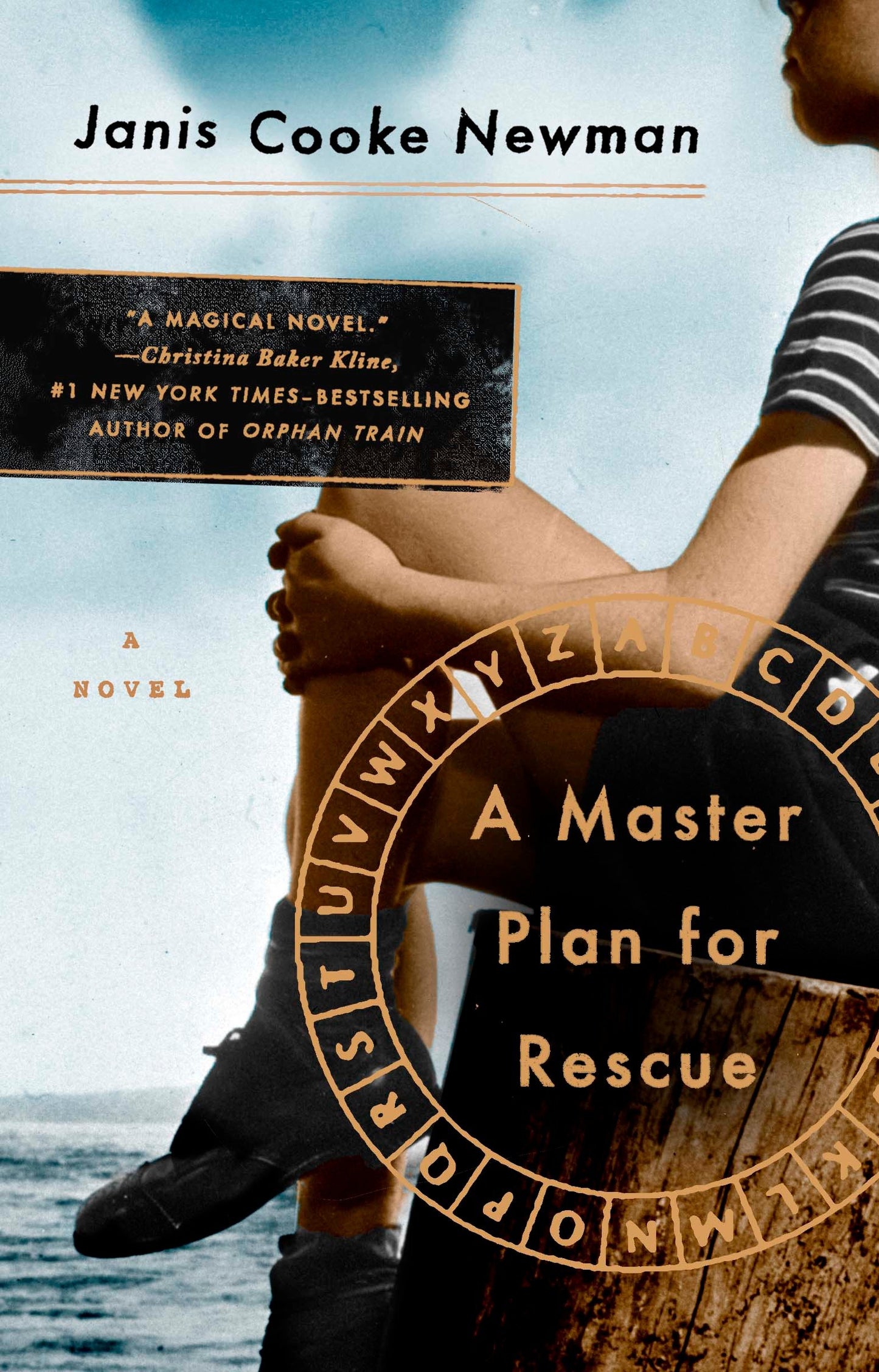 A Master Plan for Rescue - A Novel