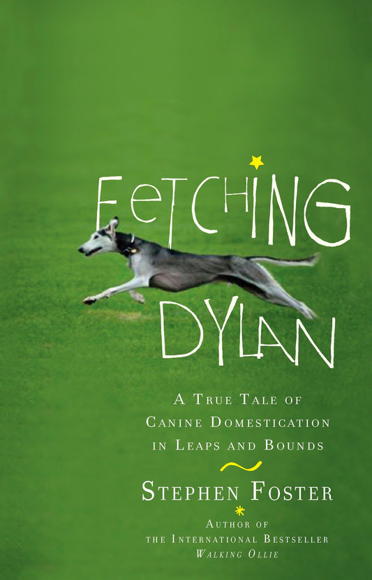 Fetching Dylan - A True Tale of Canine Domestication in Leaps and Bounds