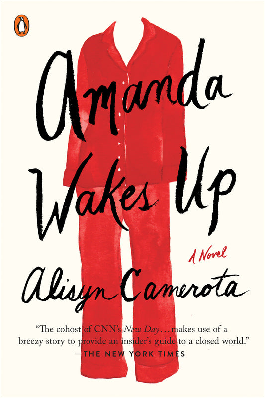 Amanda Wakes Up - A Novel