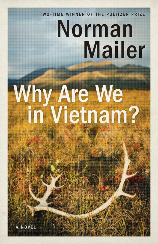 Why Are We in Vietnam? - A Novel