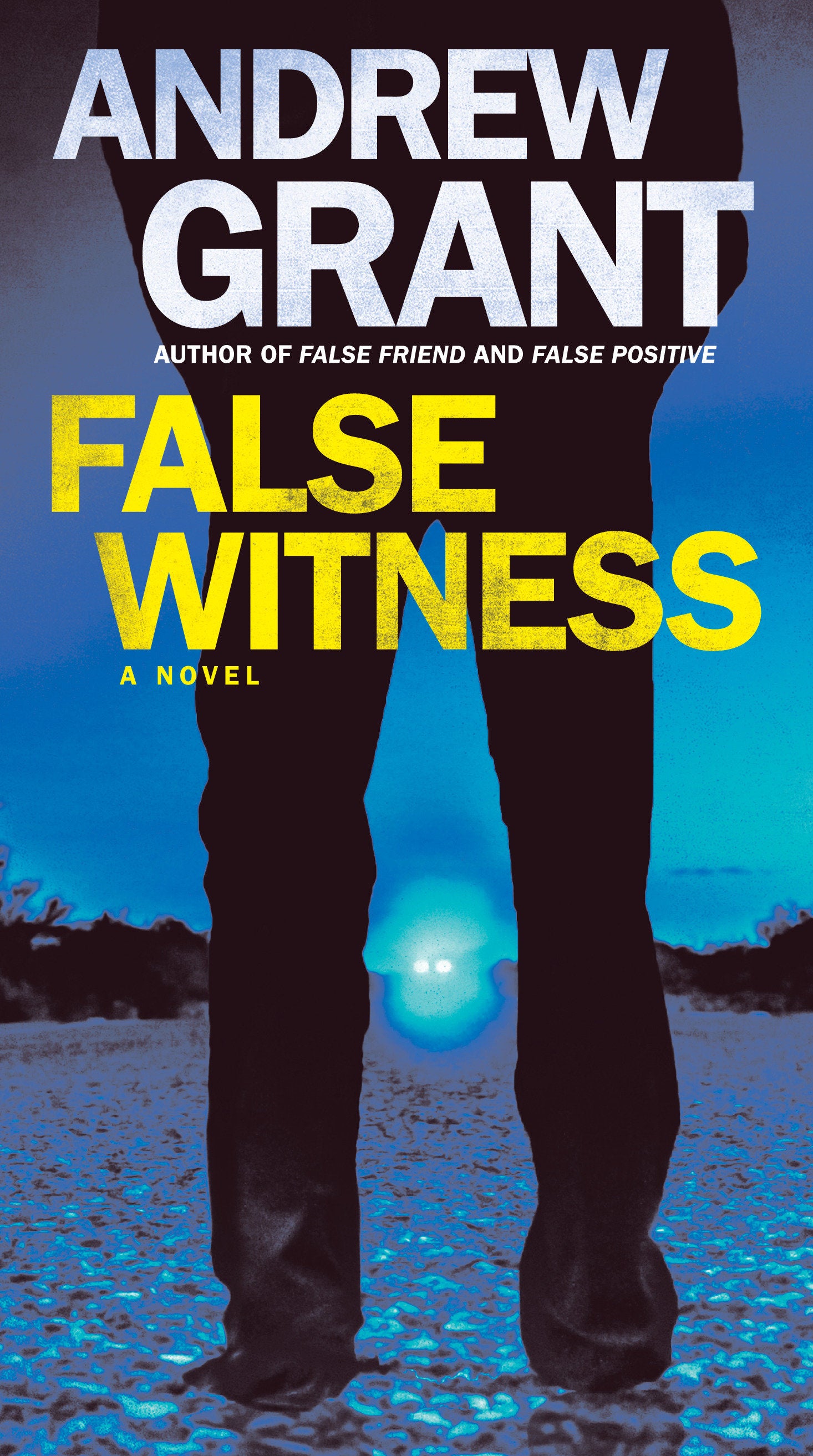 False Witness - A Novel (Detective Cooper Devereaux) (Book:3)