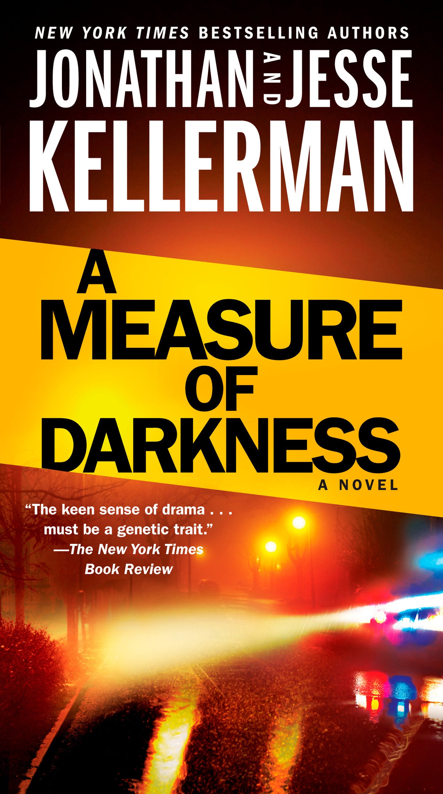 A Measure of Darkness - A Novel (Clay Edison) (Book:2)