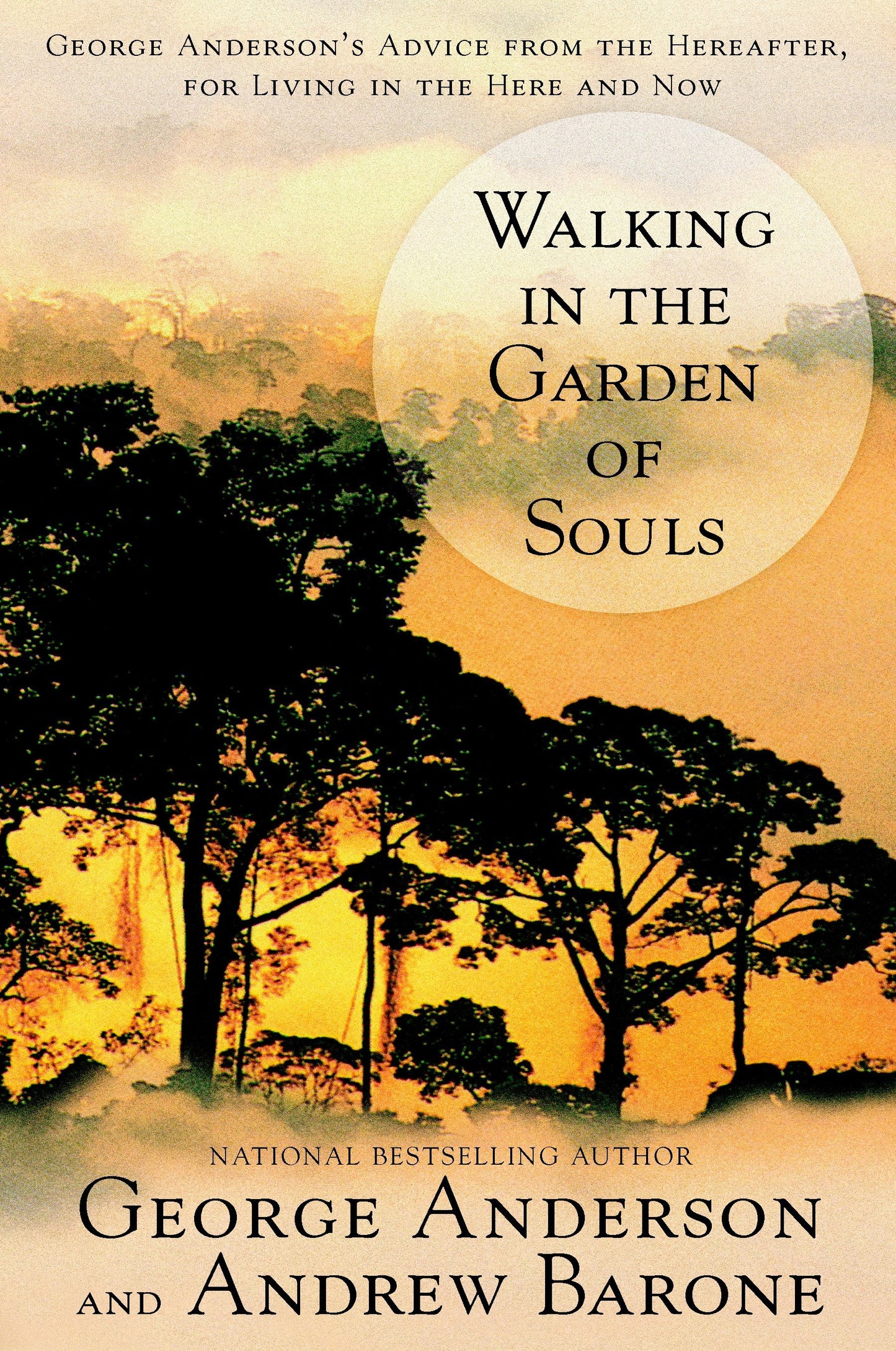 Walking in the Garden of Souls - George Anderson's Advice from the Hereafter, for Living in the Here and Now