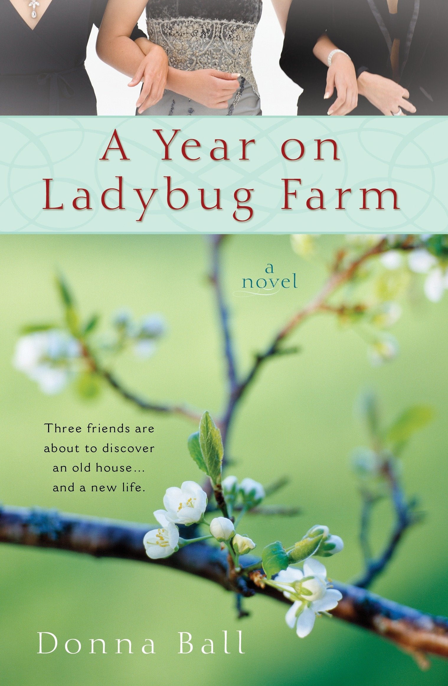 A Year on Ladybug Farm (A Ladybug Farm Novel)