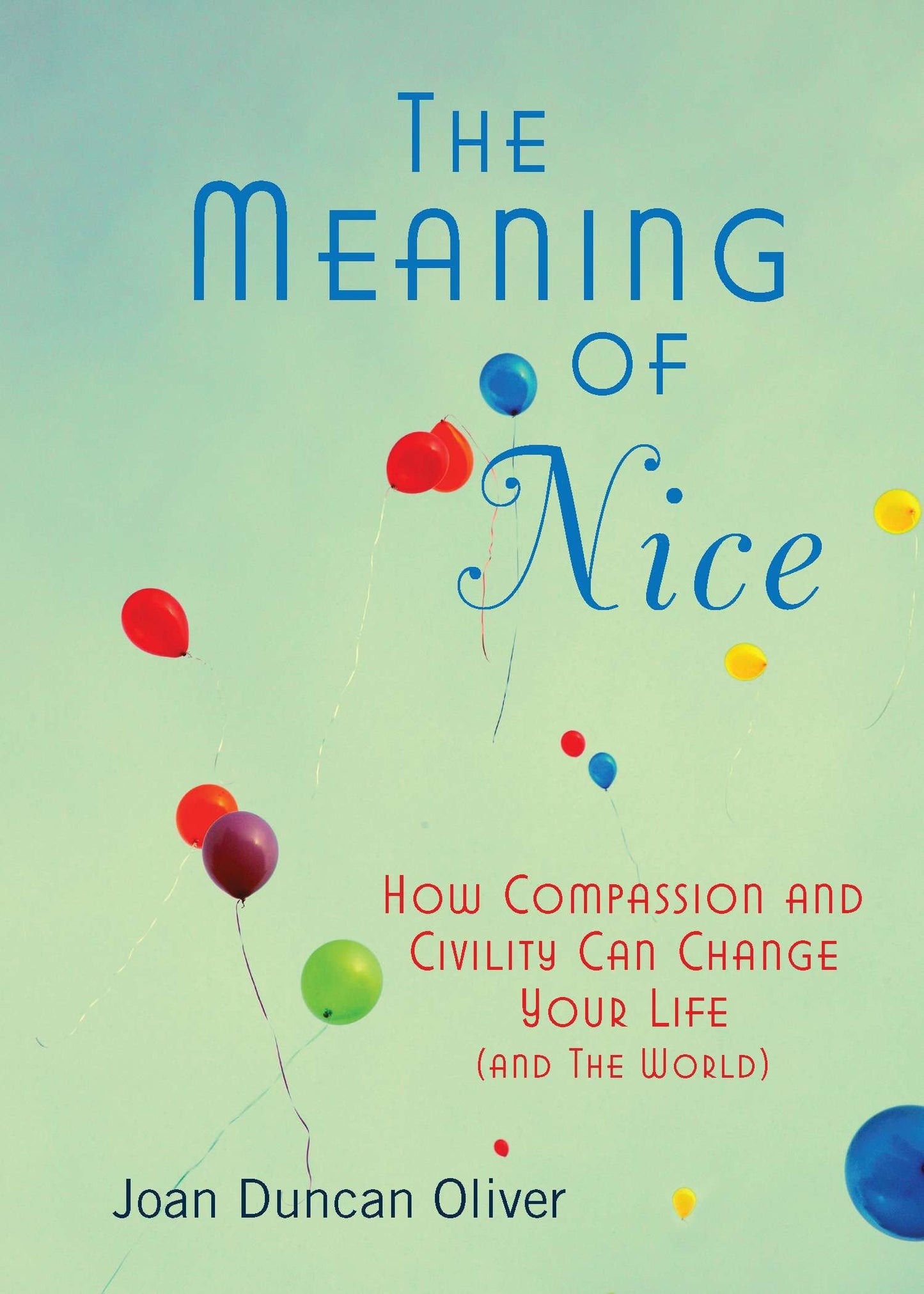 The Meaning of Nice - How Compassion and Civility Can Change Your Life (and The World)