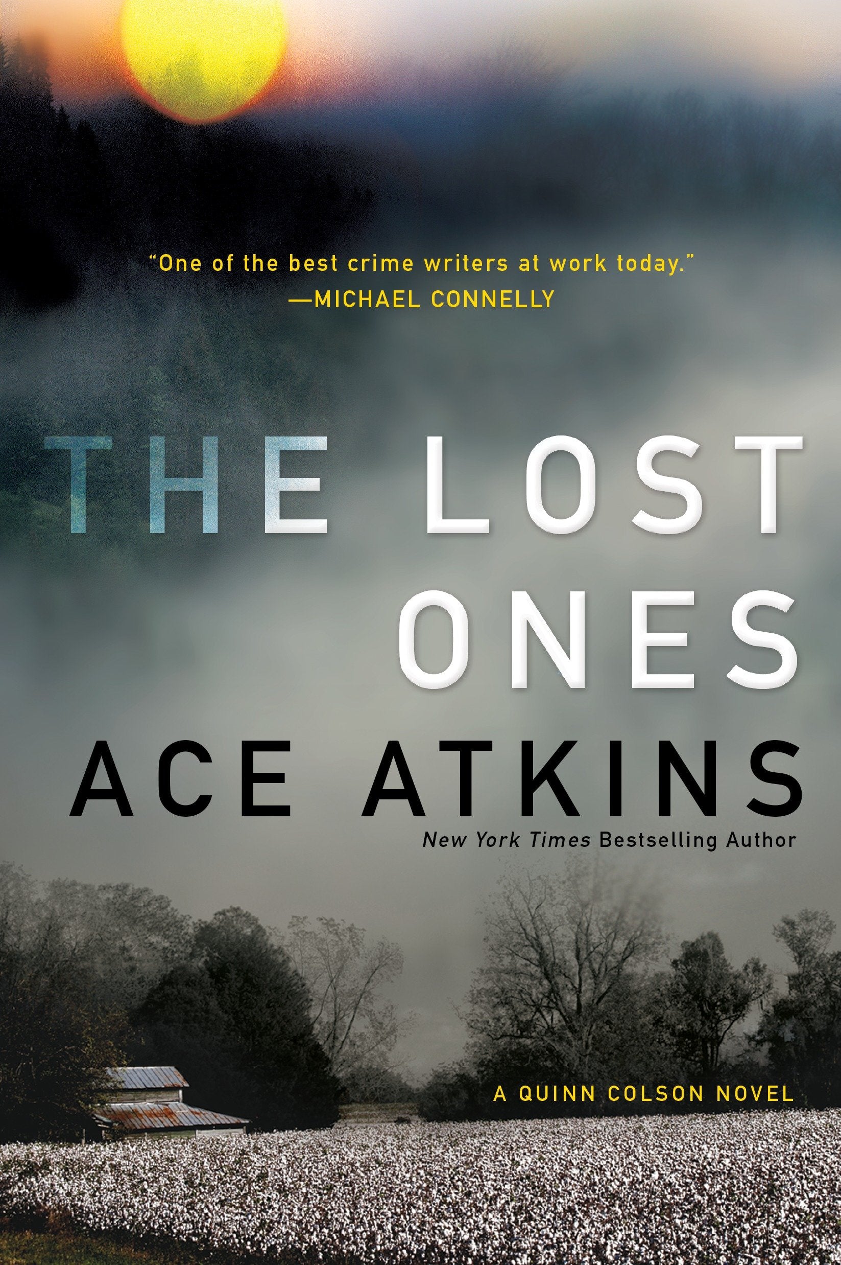 The Lost Ones (A Quinn Colson Novel) (Book:2)