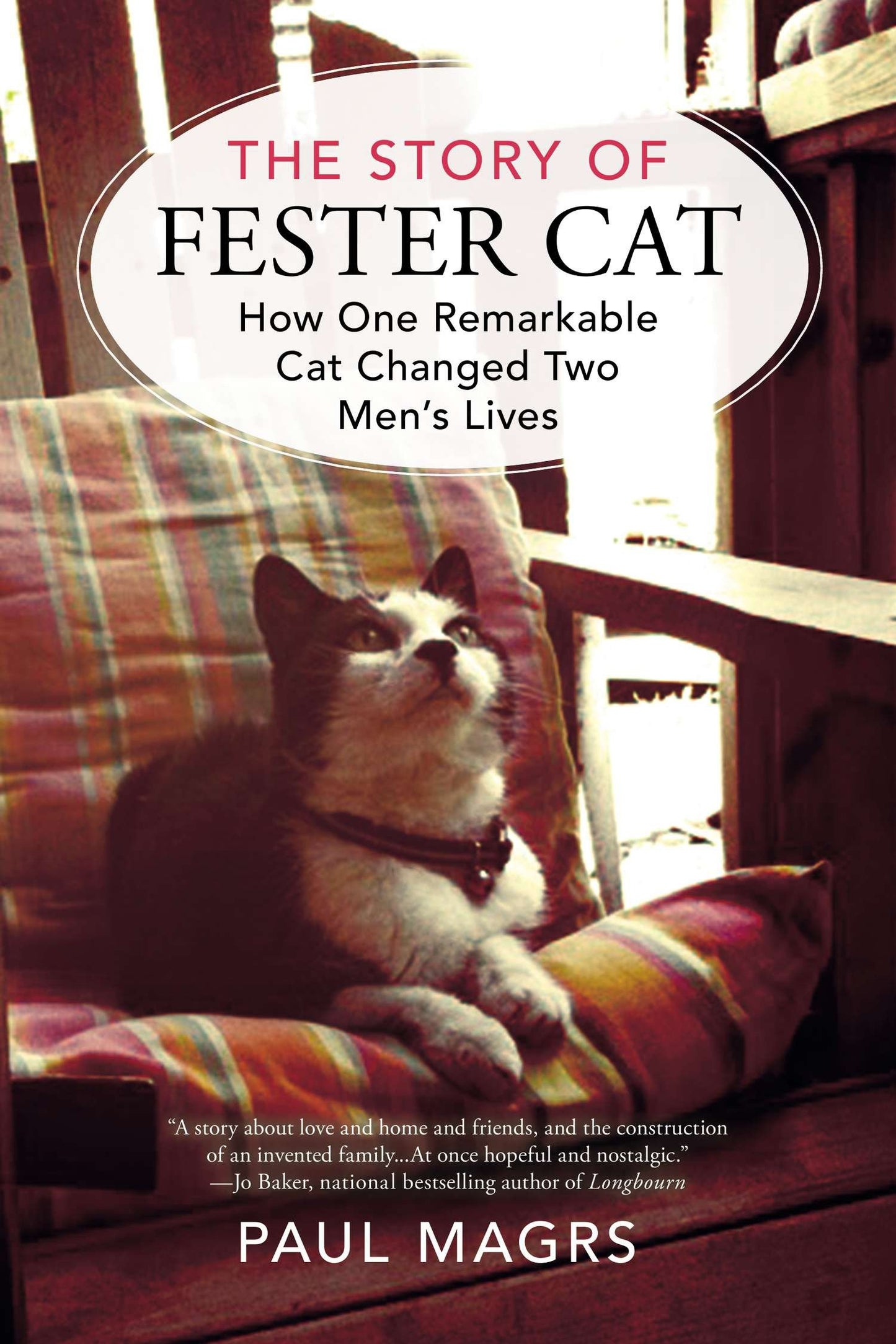 The Story of Fester Cat - How One Remarkable Cat Changed Two Men's Lives