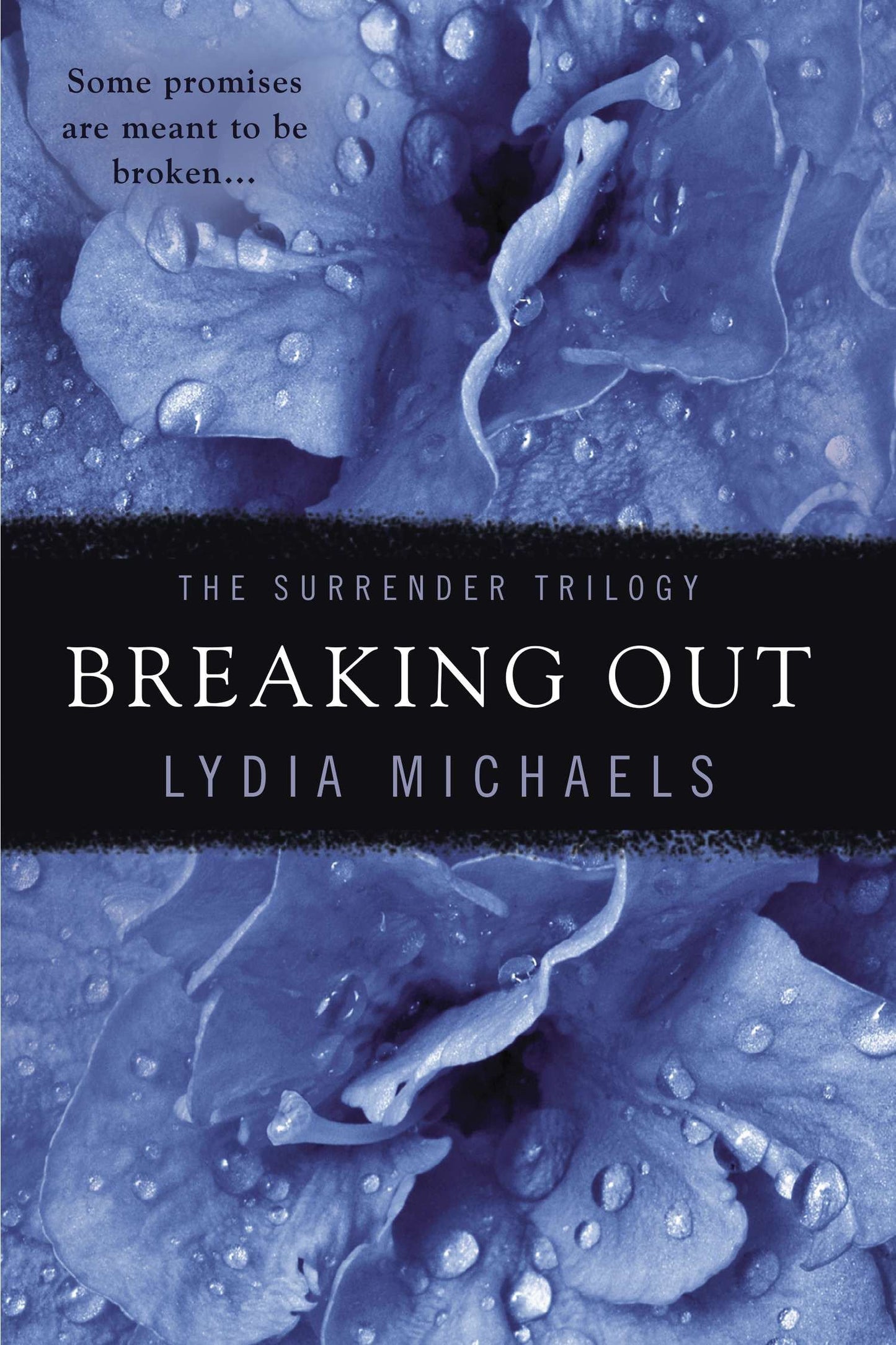 Breaking Out (The Surrender Trilogy) (Book:2)
