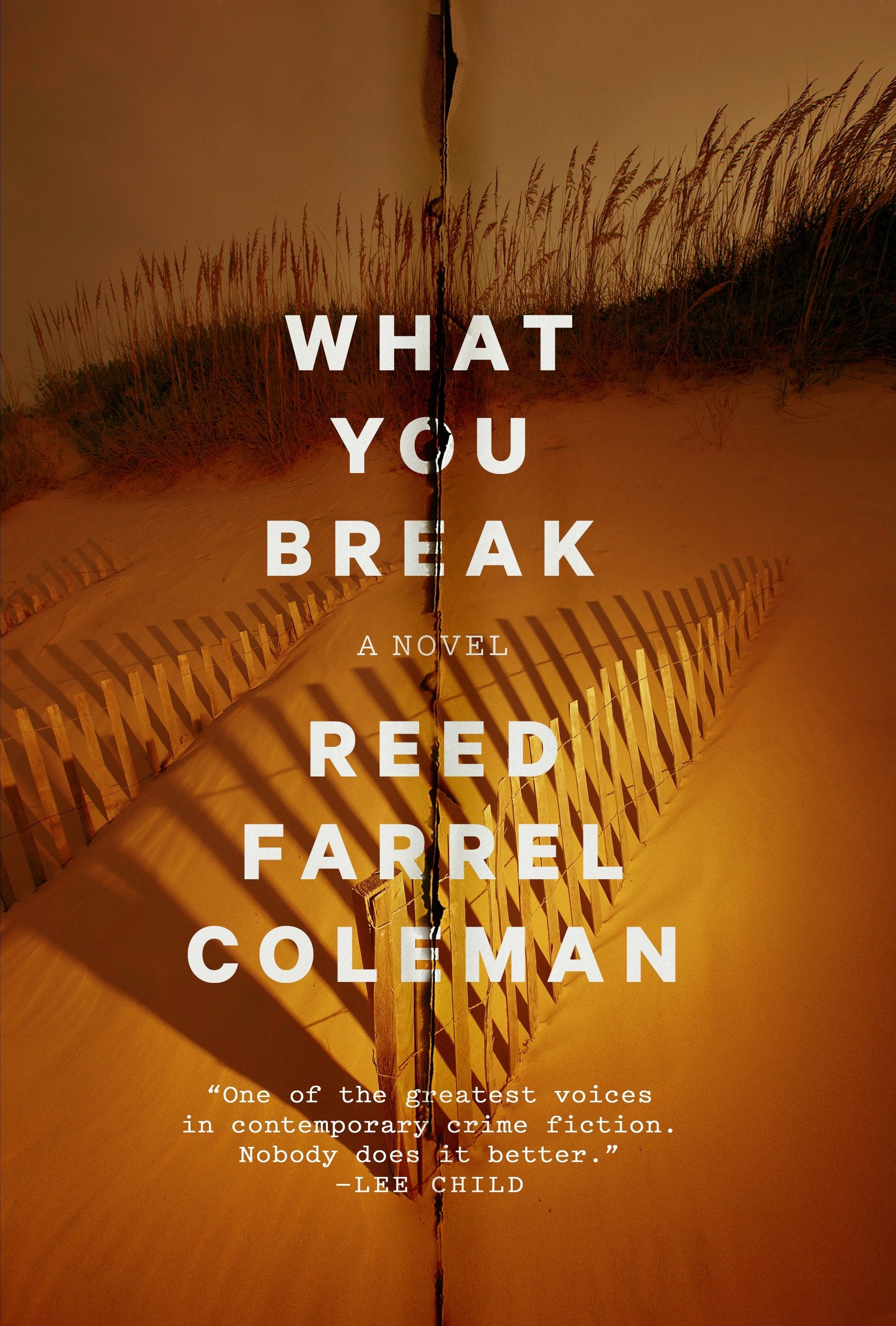 What You Break (A Gus Murphy Novel) (Book:2)