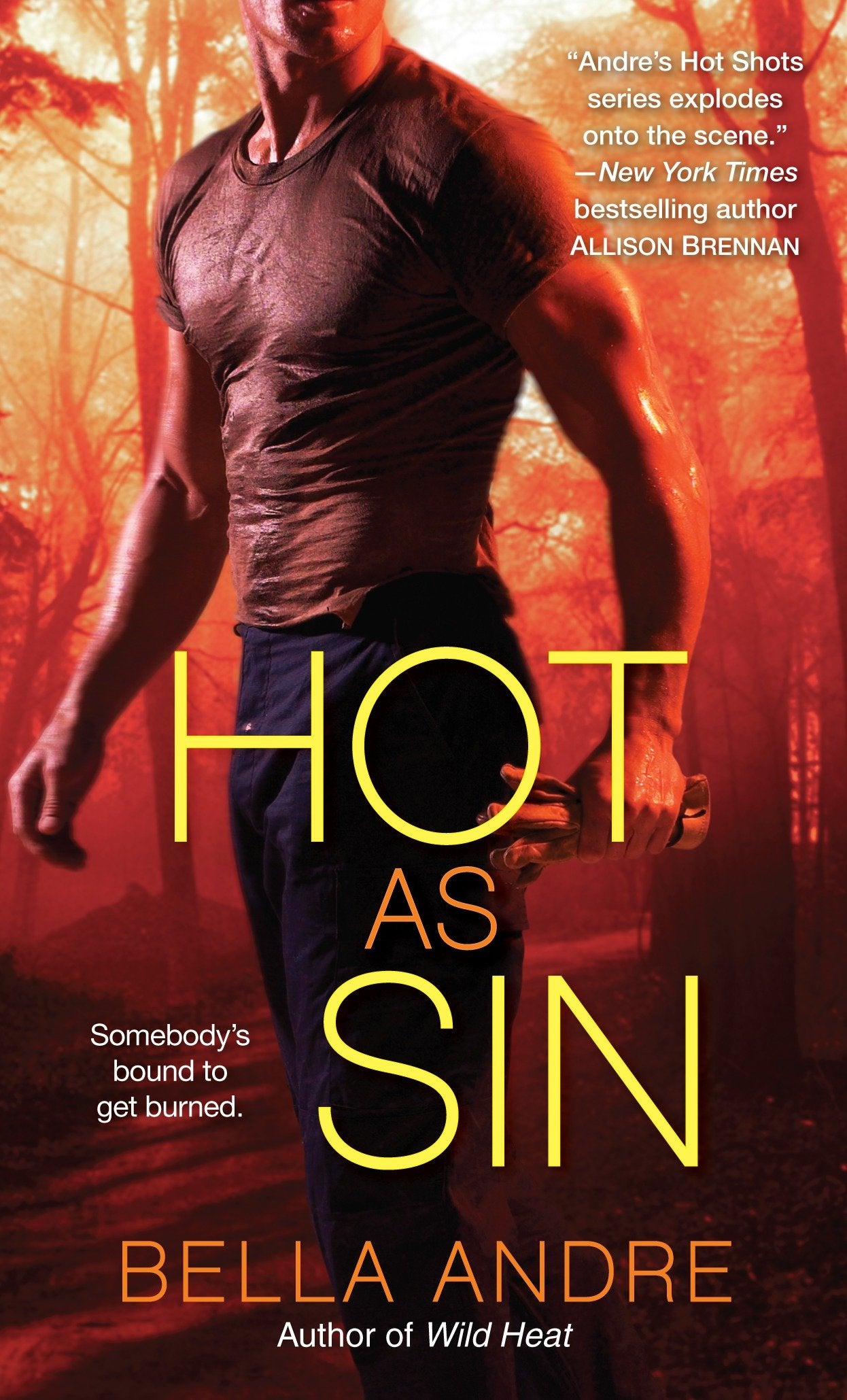 Hot as Sin - A Novel (Hot Shots Men of Fire) (Book:2)