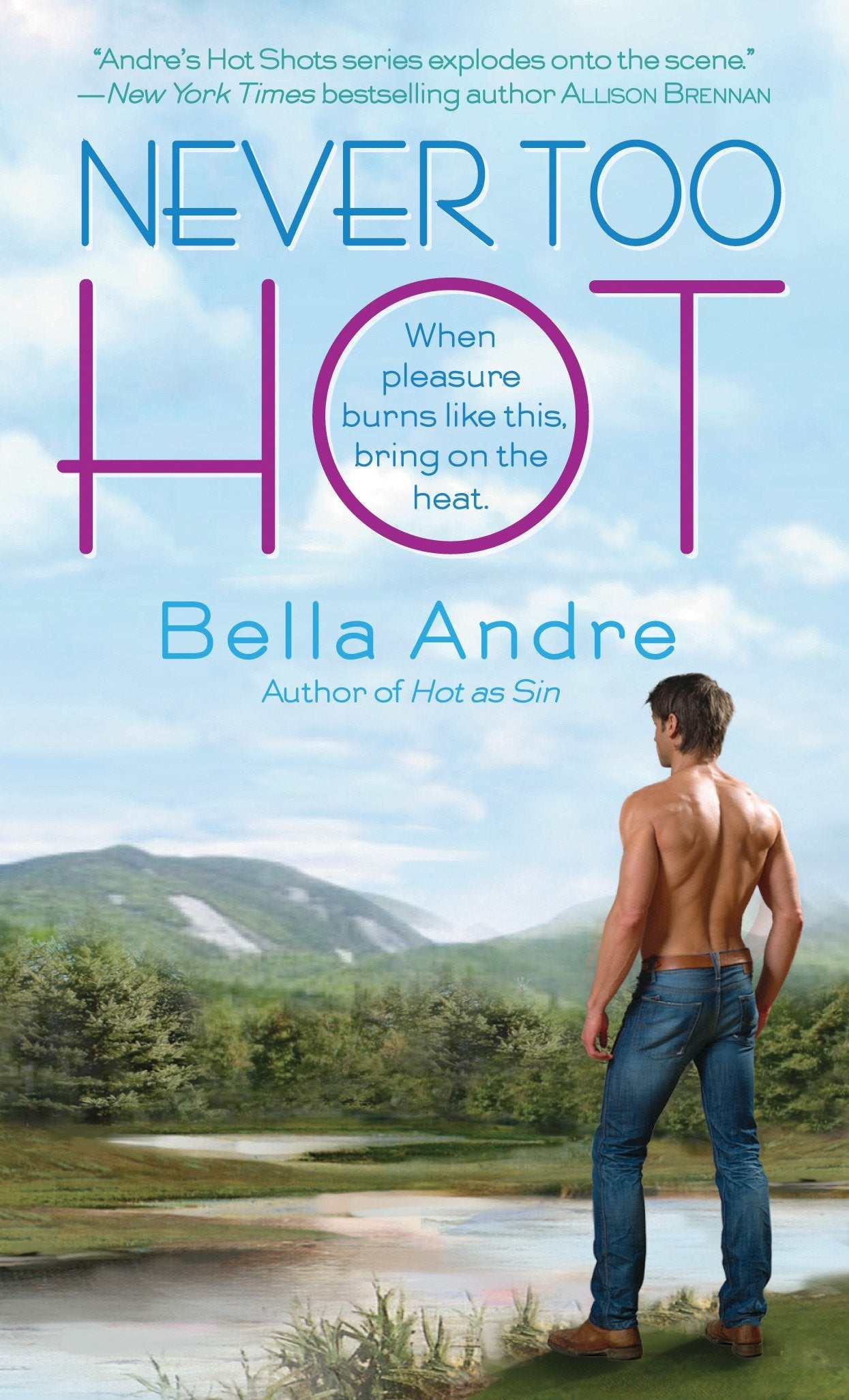 Never Too Hot (Hot Shots Men of Fire) (Book:3)
