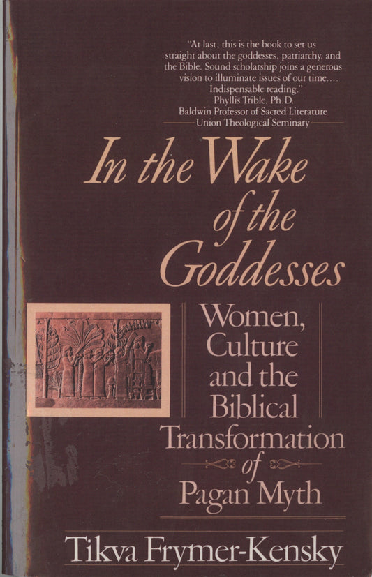 In the Wake of the Goddesses - Women, Culture and the Biblical Transformation of Pagan Myth