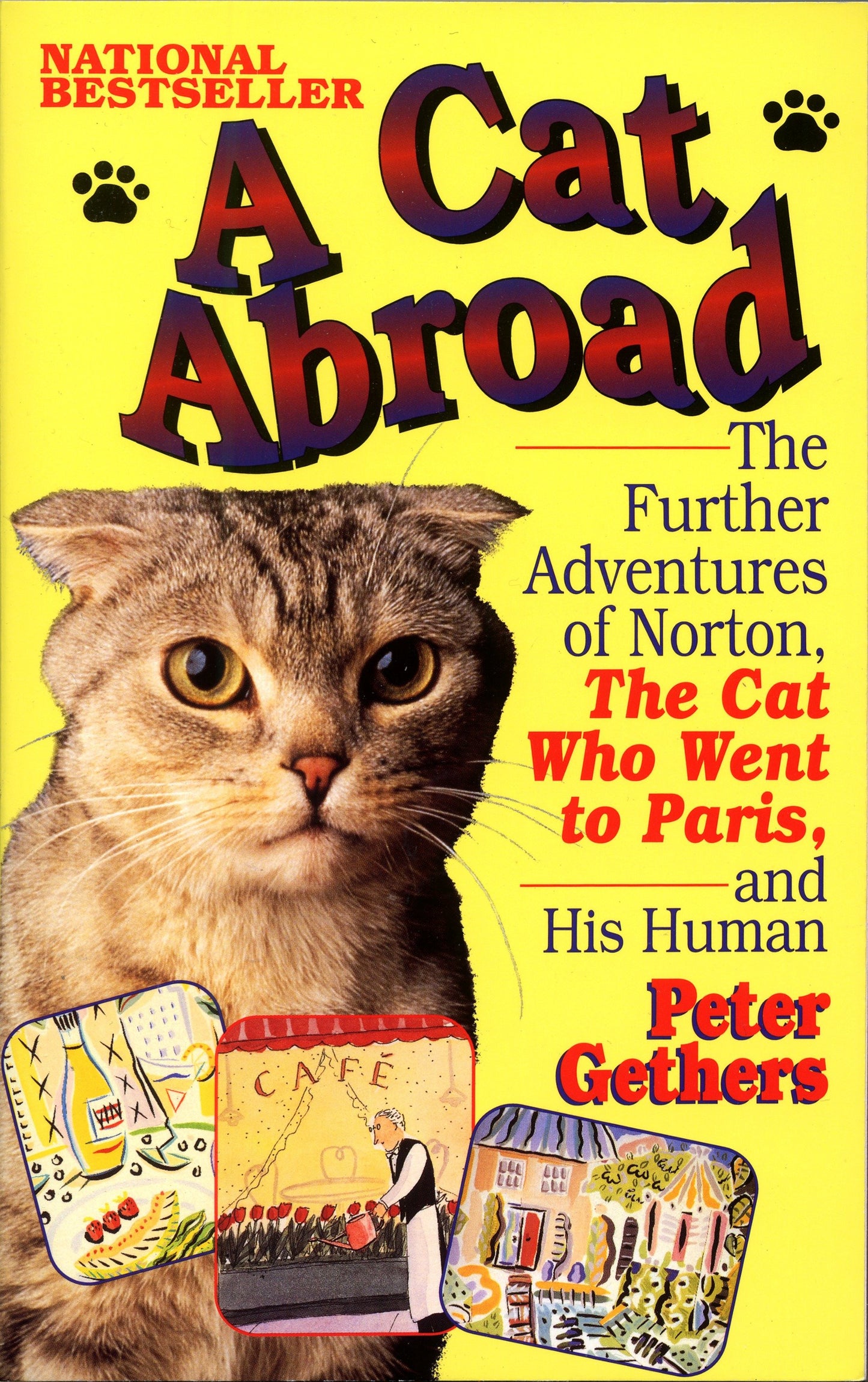 A Cat Abroad - The Further Adventures of Norton, the Cat Who Went to Paris, and His Human (Norton the Cat)