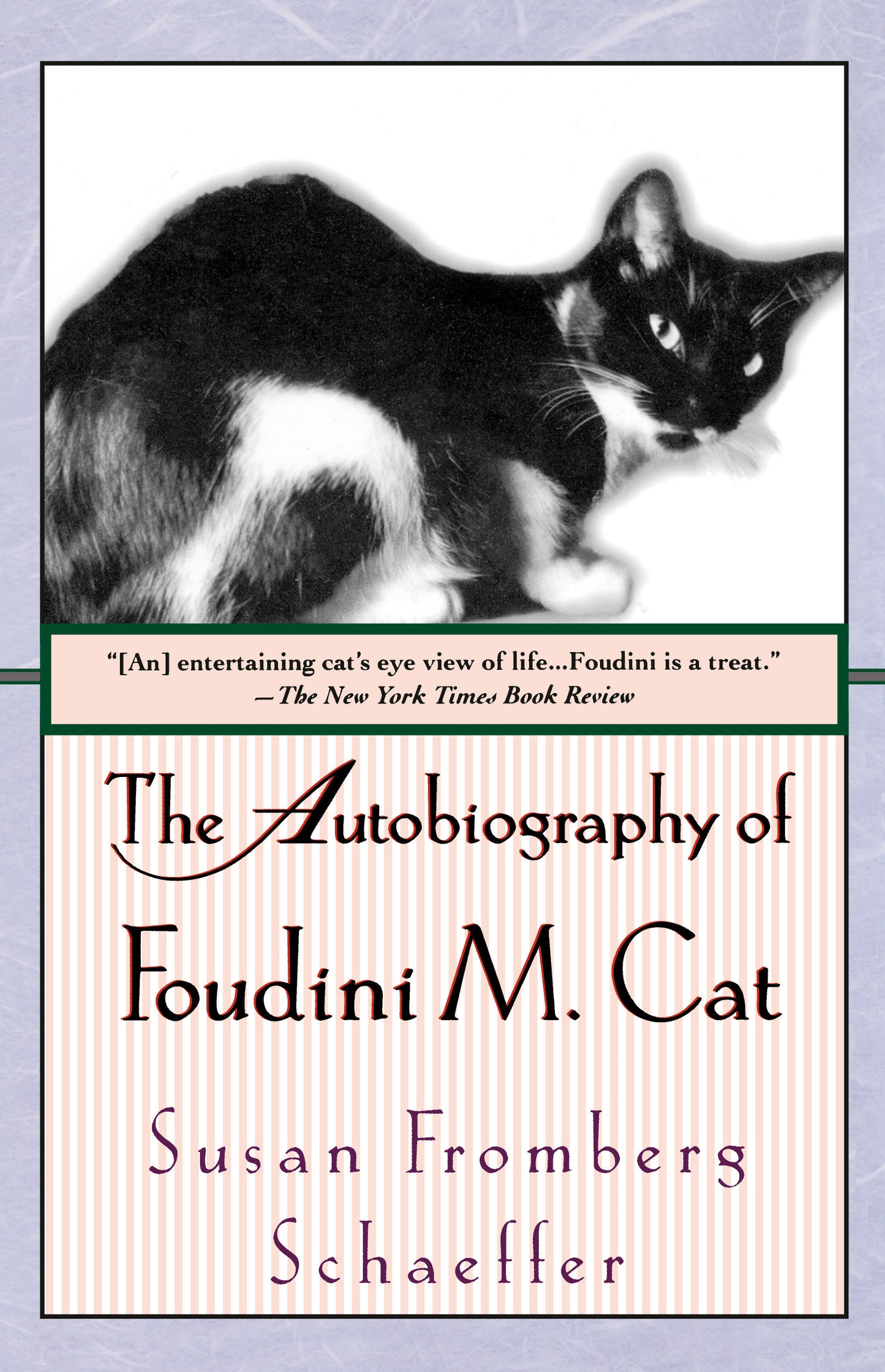 The Autobiography of Foudini M. Cat - A Novel