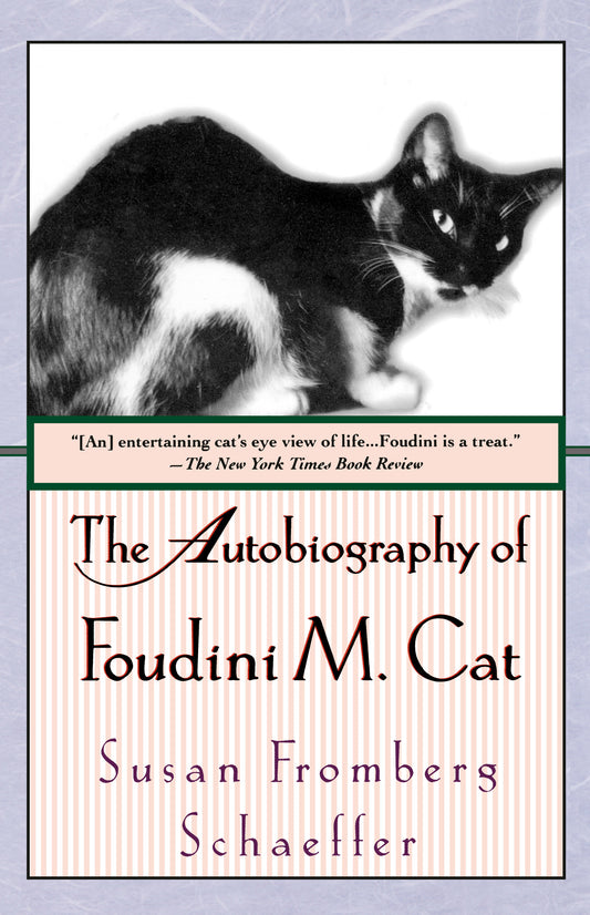 The Autobiography of Foudini M. Cat - A Novel