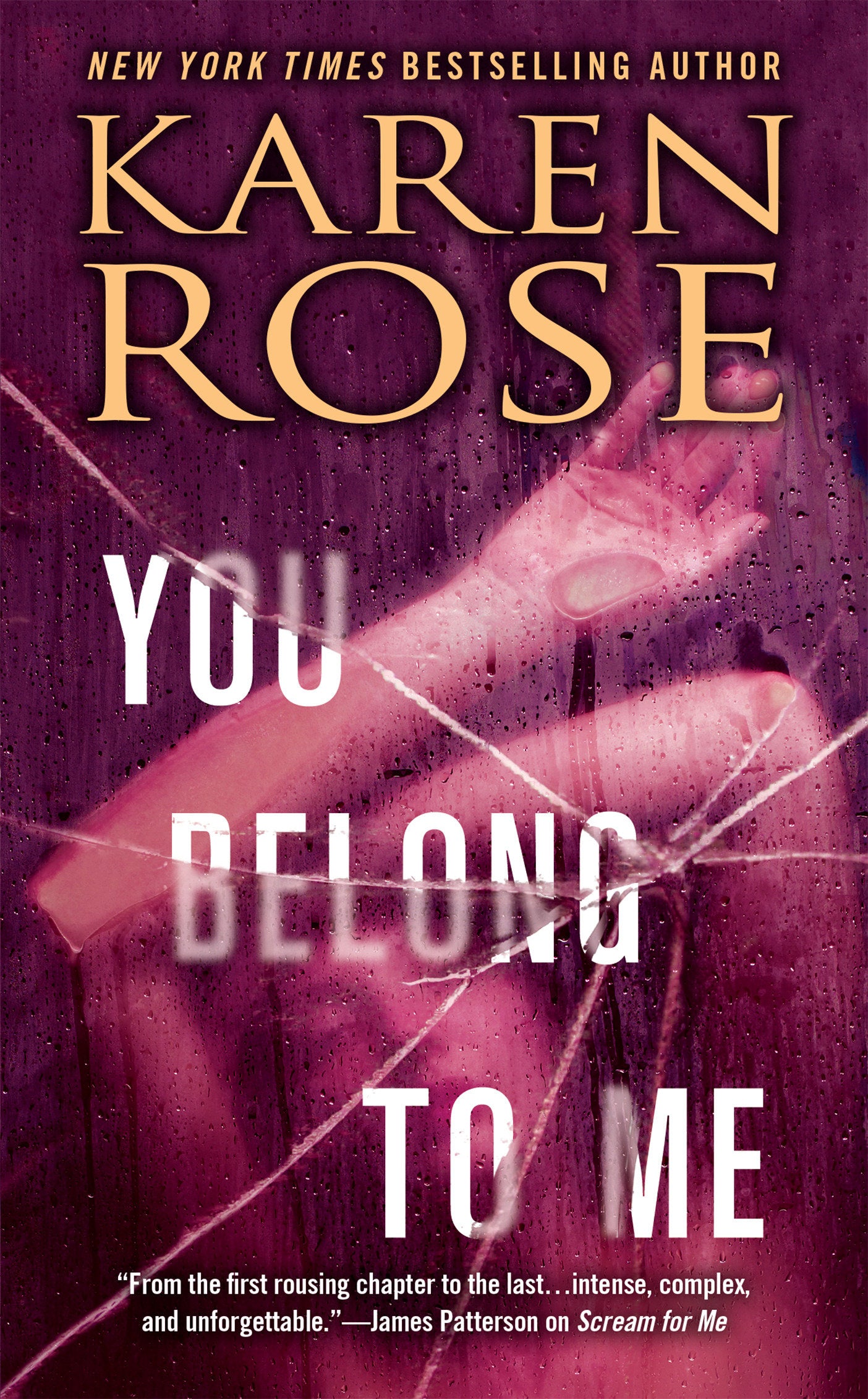 You Belong to Me (The Baltimore Series) (Book:1)