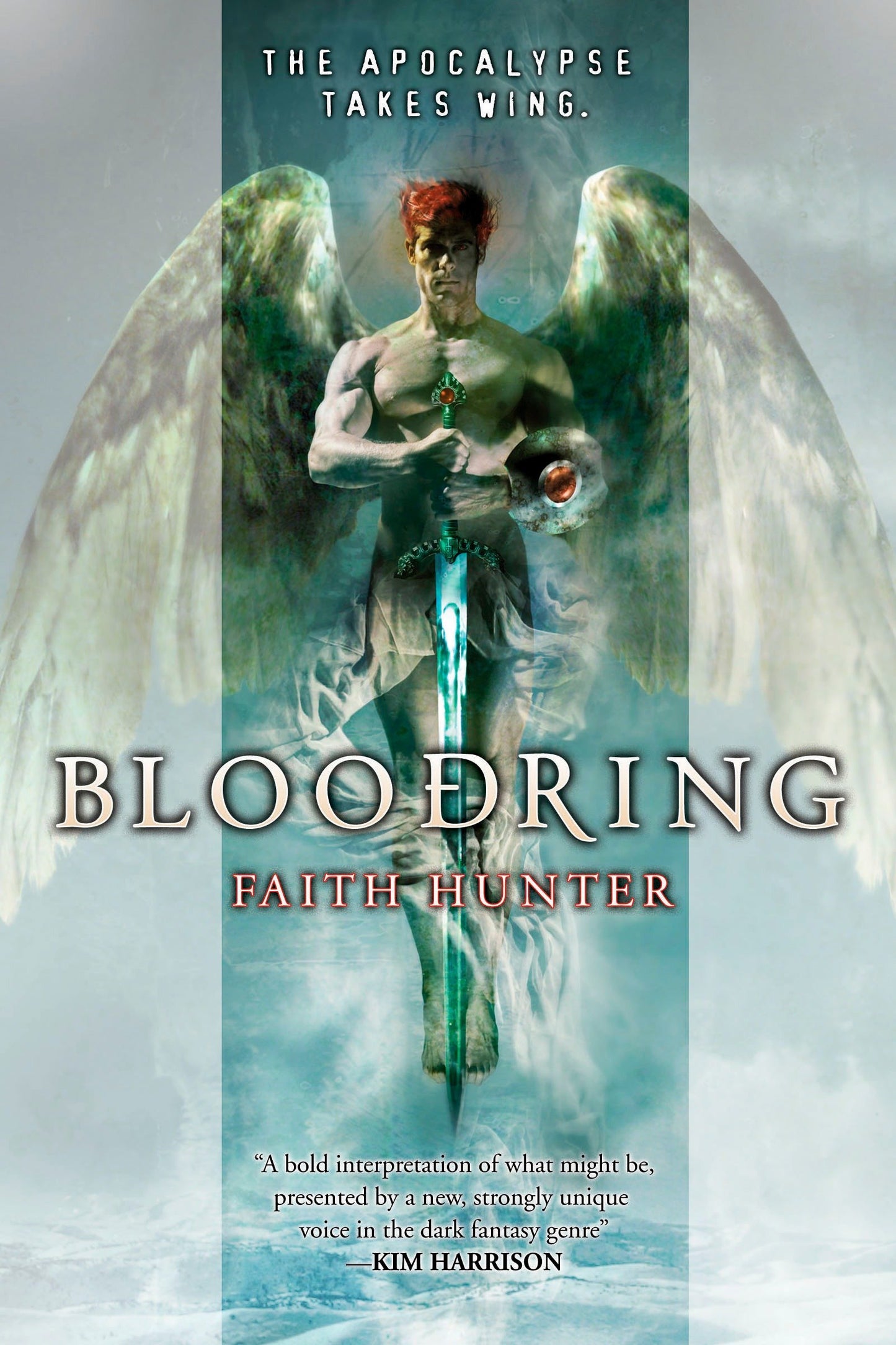 Bloodring (Rogue Mage) (Book:1)