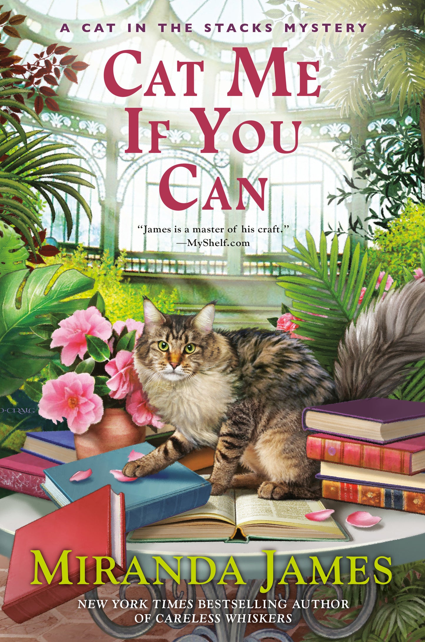 Cat Me If You Can (Cat in the Stacks Mystery) (Book:13)
