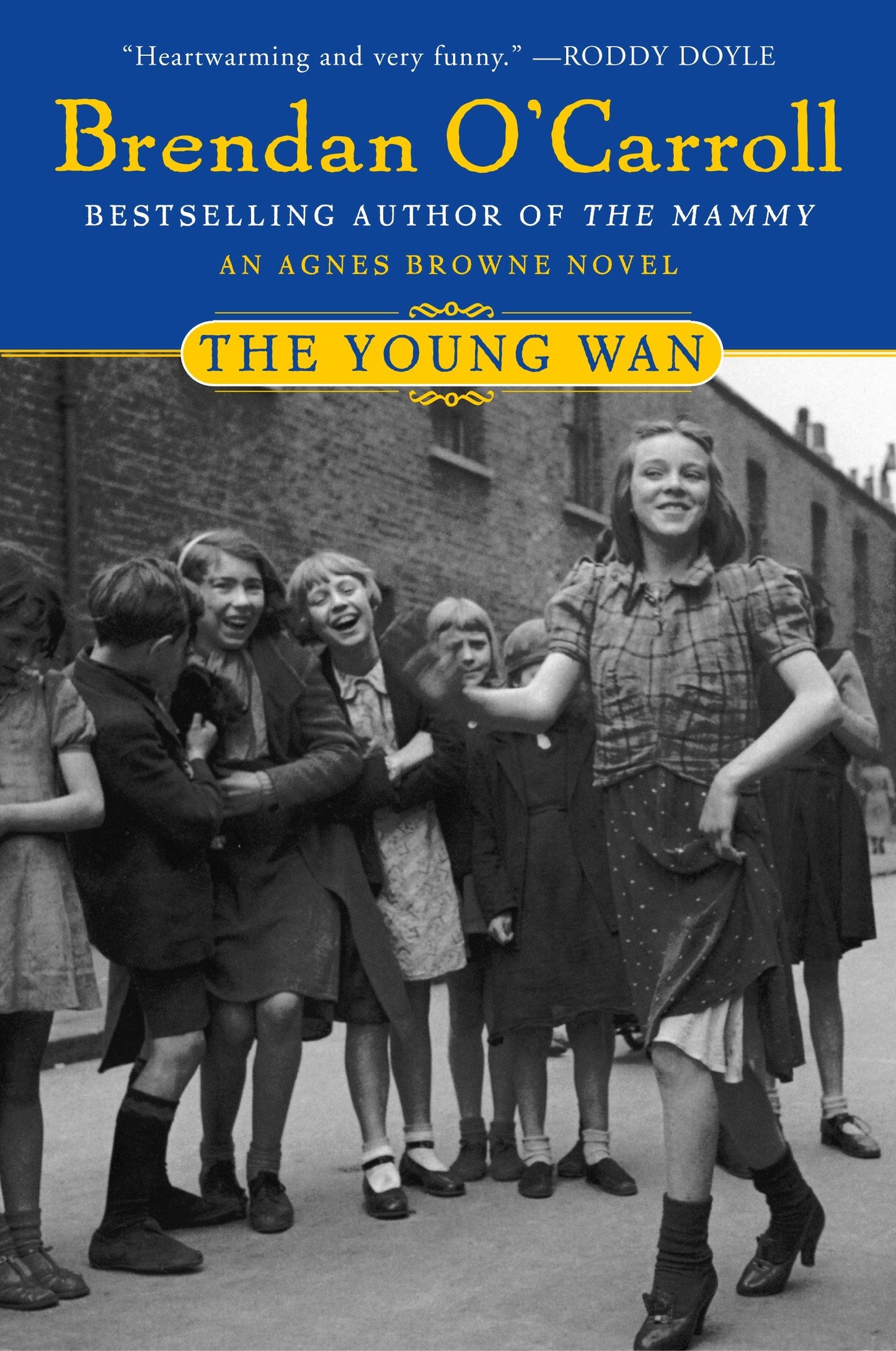 The Young Wan (Agnes Browne Series)