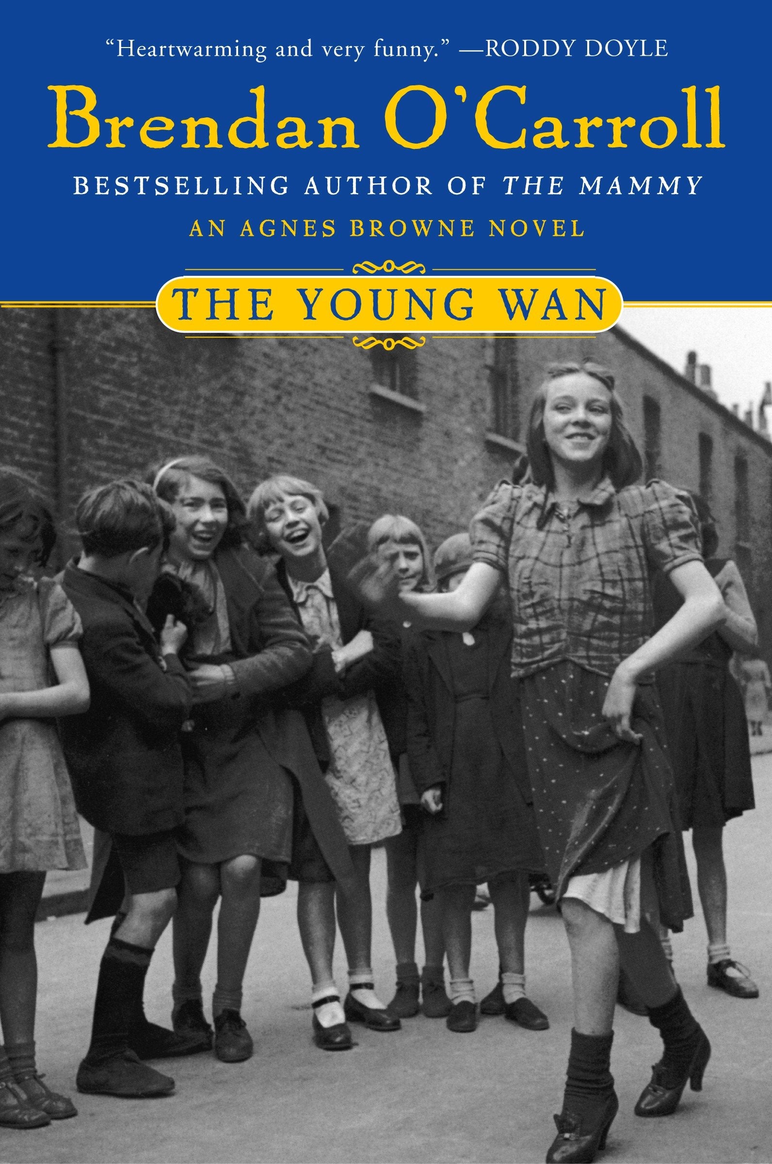 The Young Wan (Agnes Browne Series)