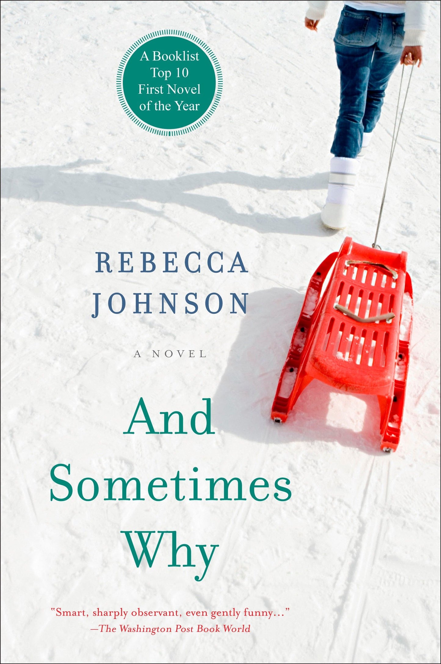And Sometimes Why - A Novel