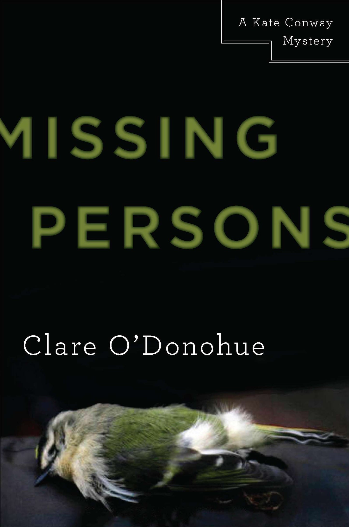 Missing Persons - A Kate Conway Mystery (A Kate Conway Mystery) (Book:1)