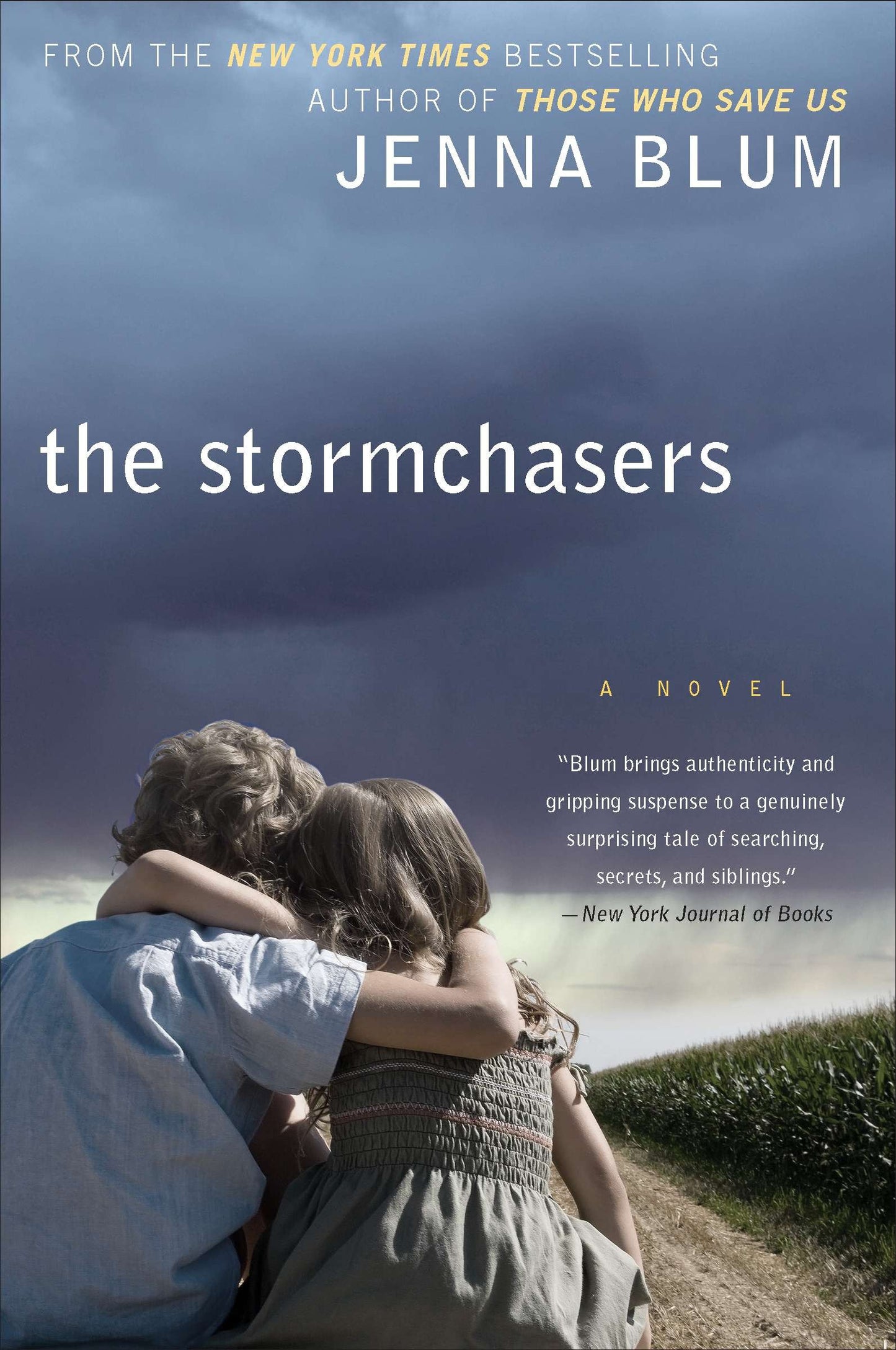 The Stormchasers - A Novel
