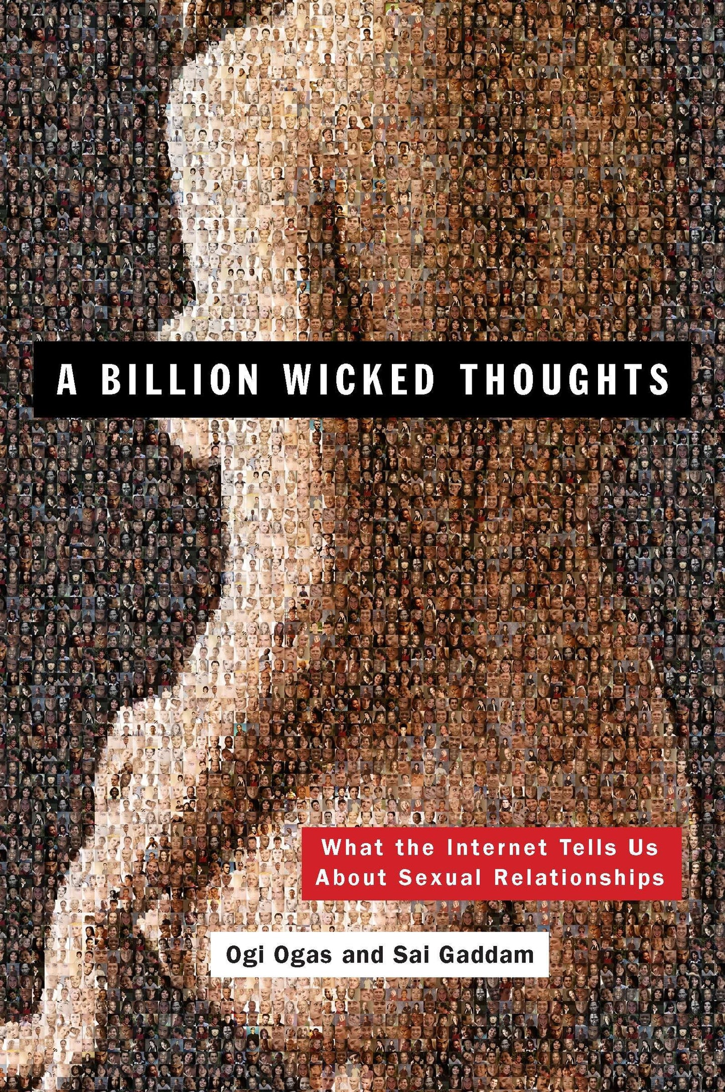 A Billion Wicked Thoughts - What the Internet Tells Us About Sexual Relationships