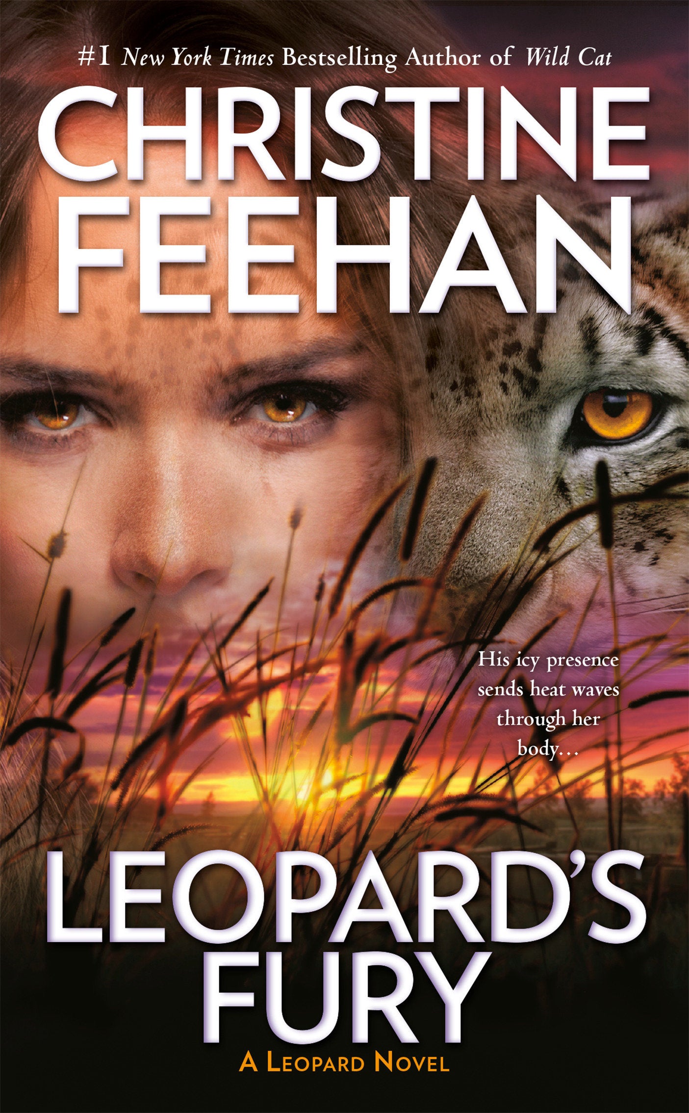 Leopard's Fury (A Leopard Novel) (Book:9)
