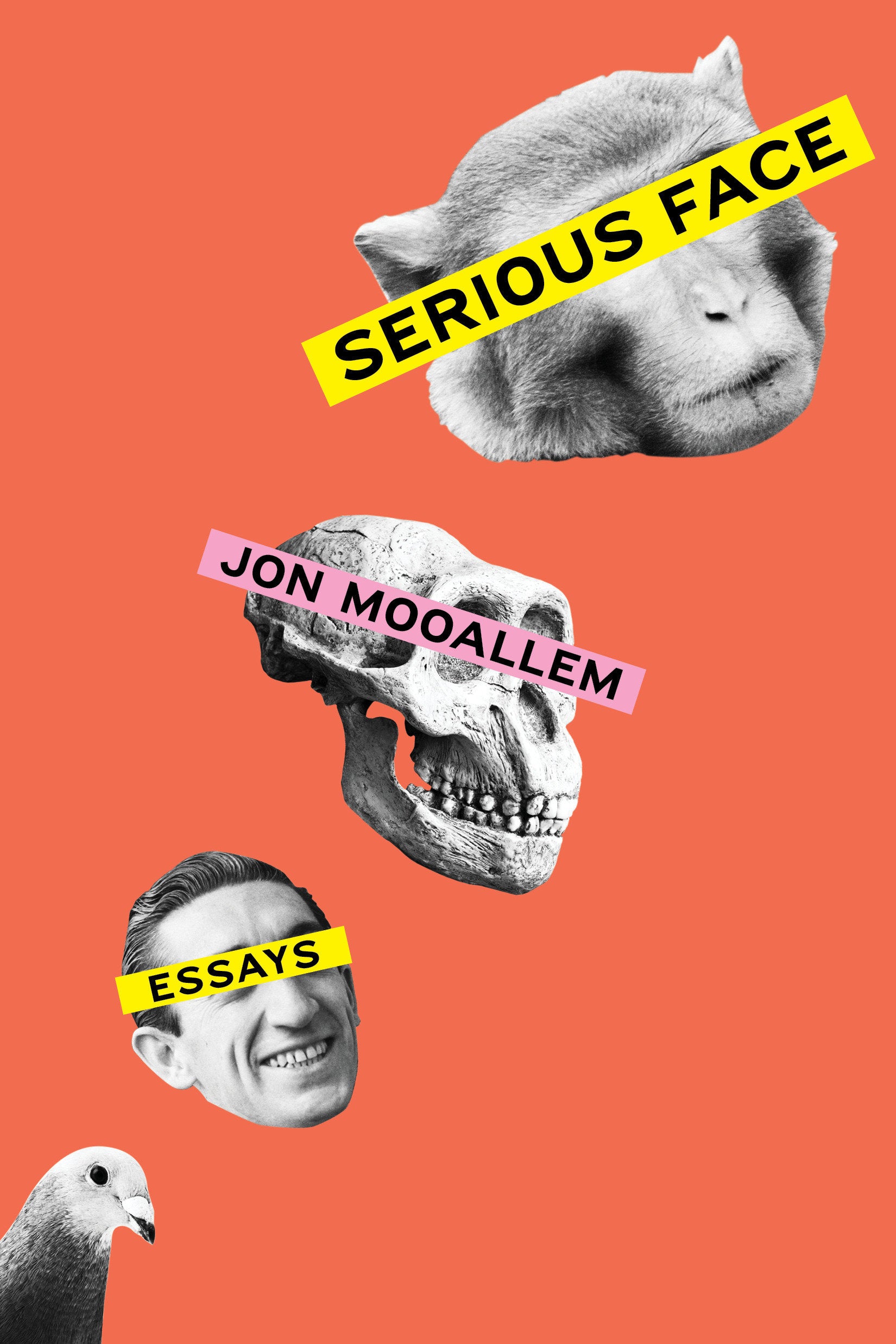 Serious Face - Essays