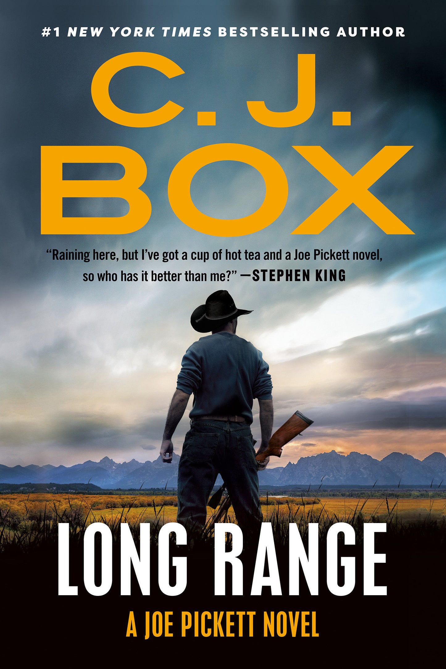 Long Range (A Joe Pickett Novel) (Book:20)