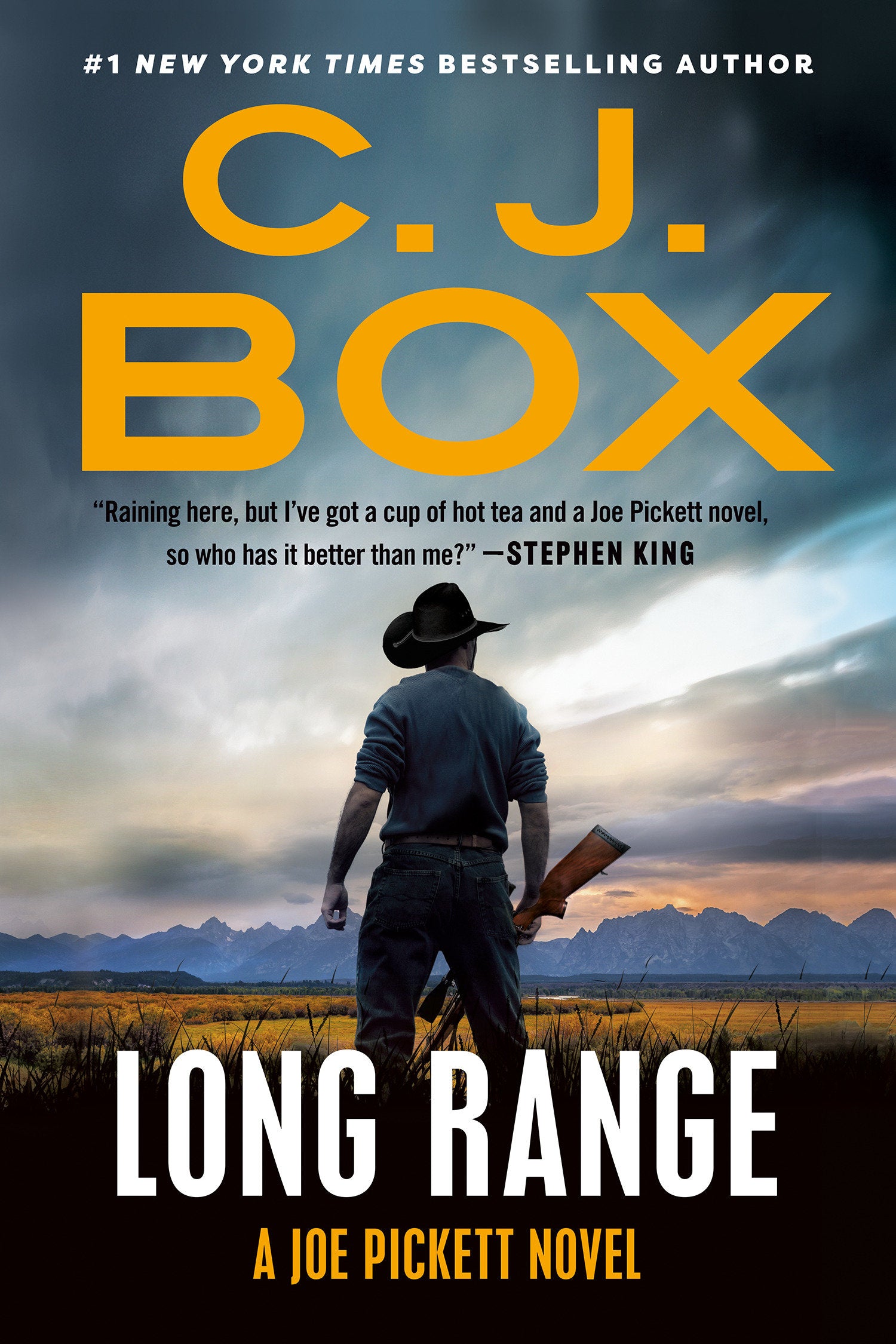 Long Range (A Joe Pickett Novel) (Book:20)