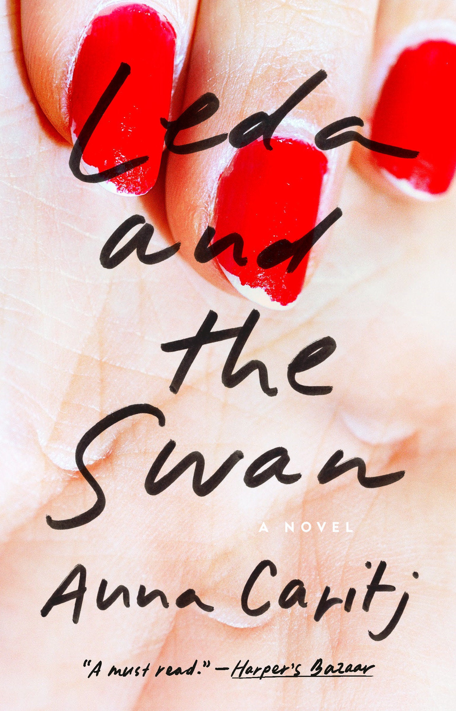 Leda and the Swan - A Novel