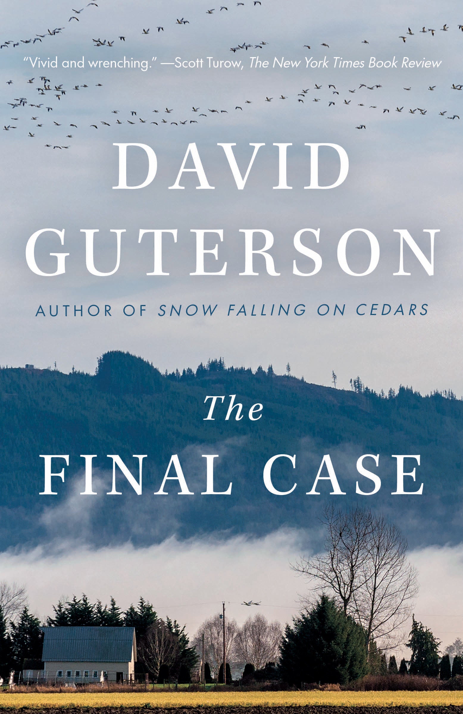 The Final Case - A novel