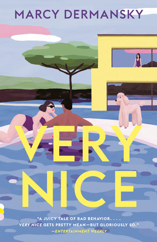 Very Nice - A novel (Vintage Contemporaries)