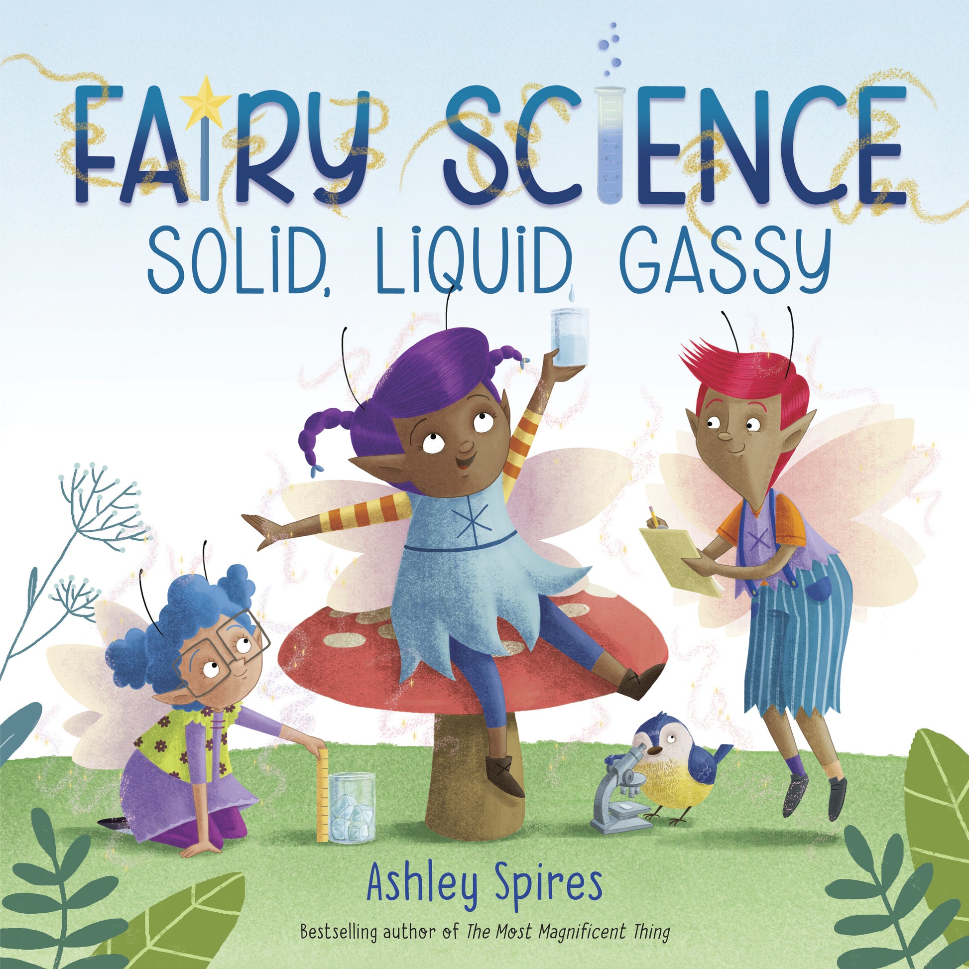 Solid, Liquid, Gassy! (A Fairy Science Story) (Fairy Science)