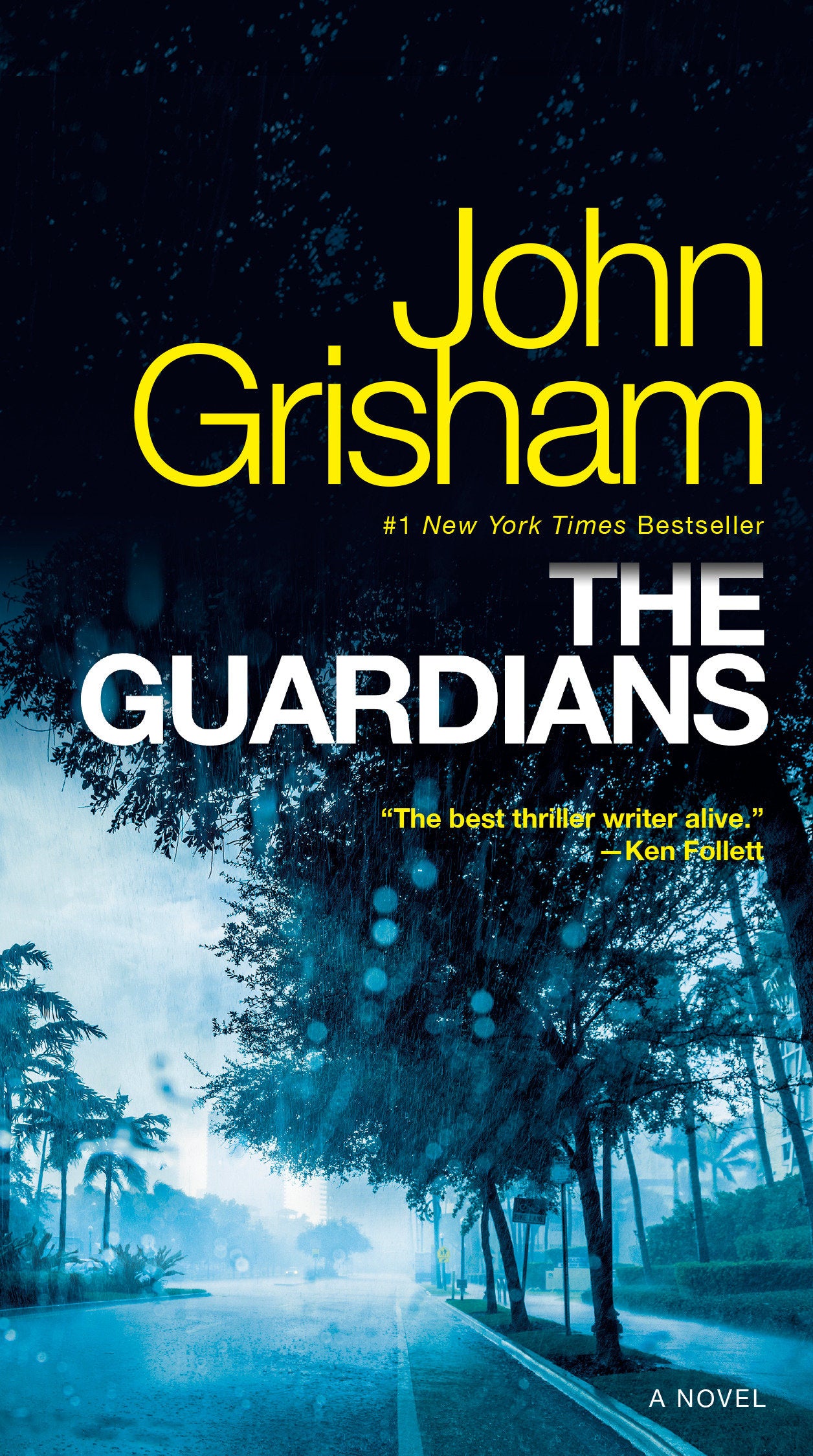 The Guardians - A Novel