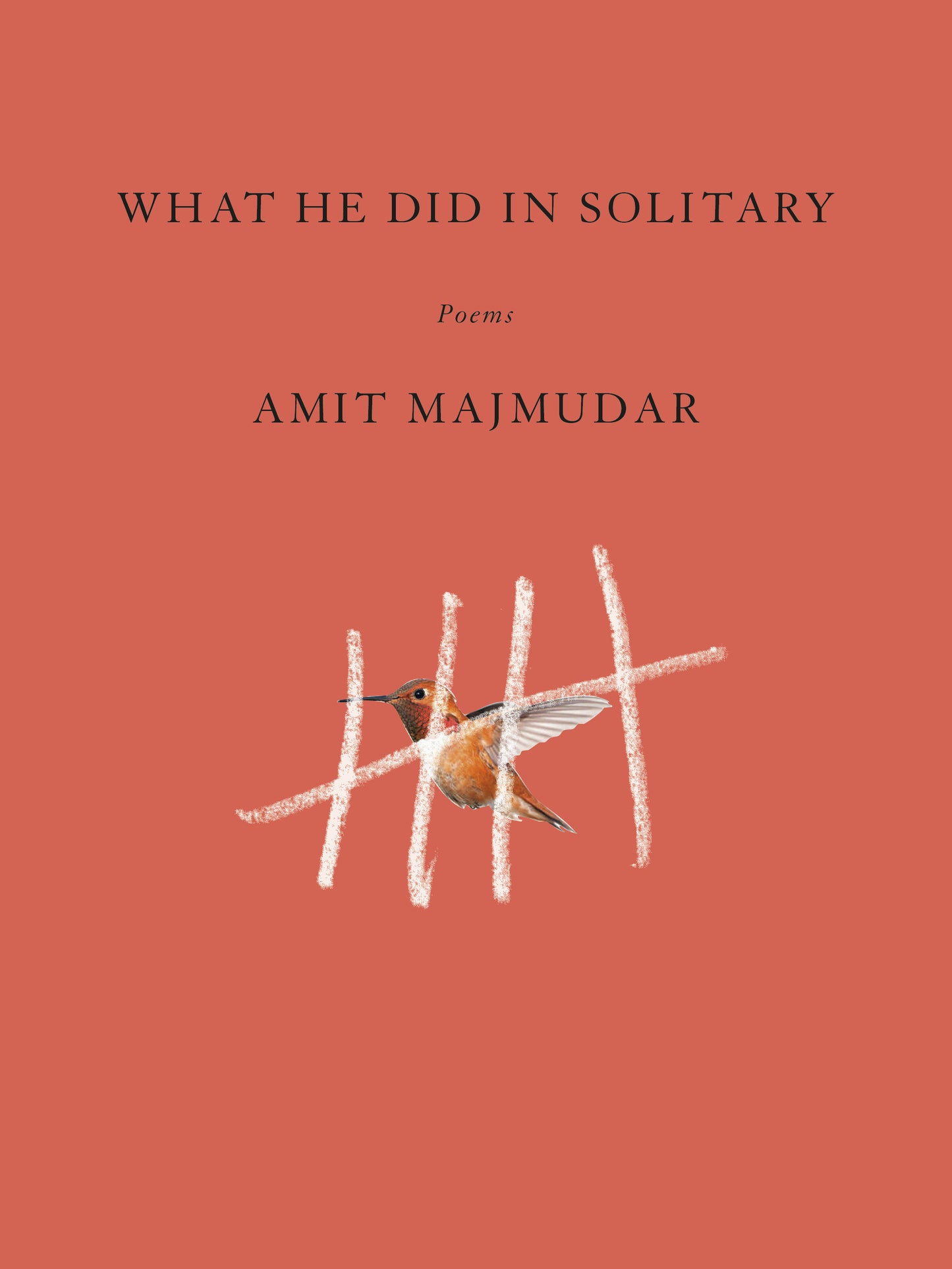 What He Did in Solitary - Poems
